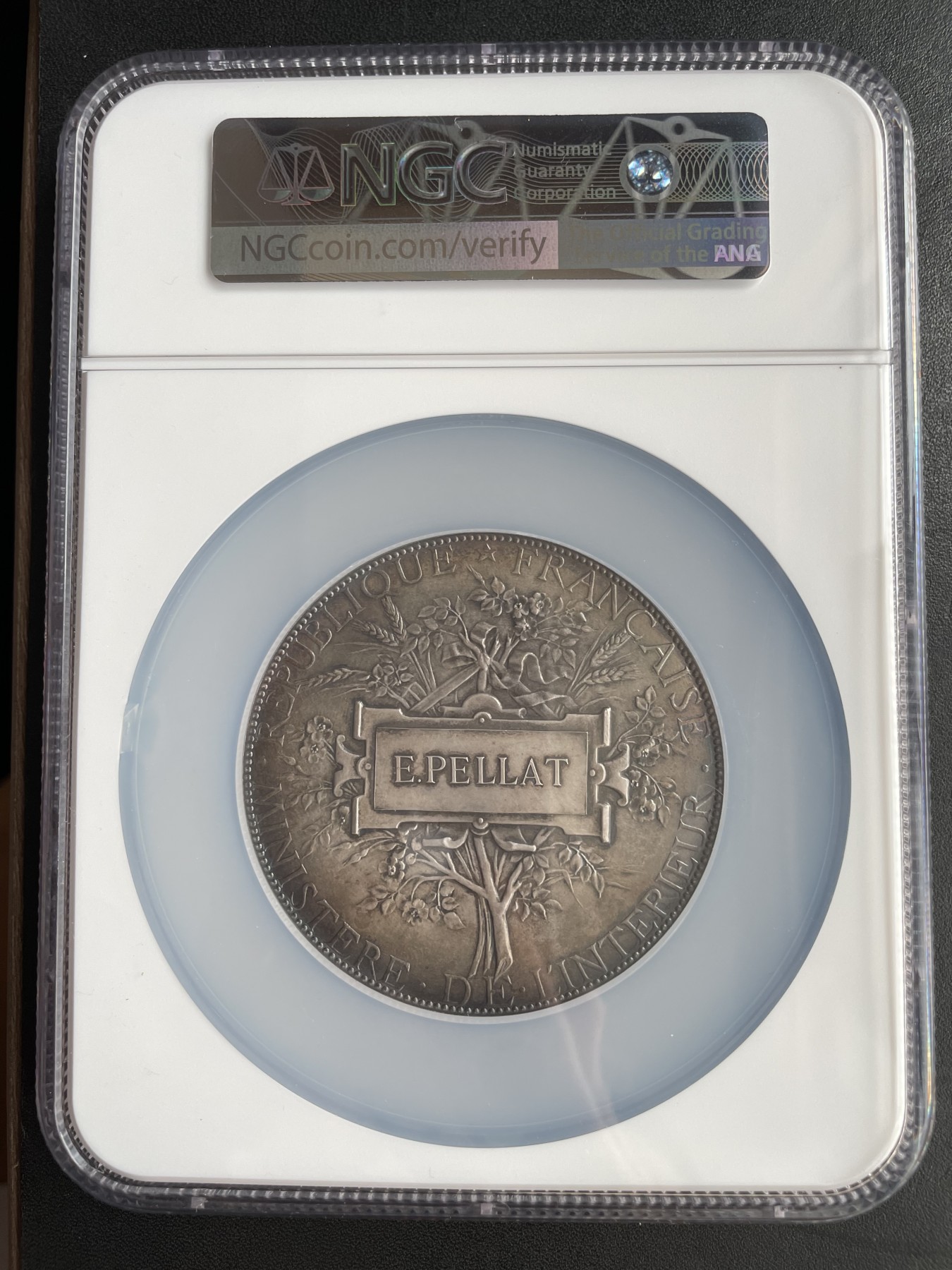 章牌专场-第26期 Chaplain～1885年法国初生儿童保护法大银章  直径:68 mm