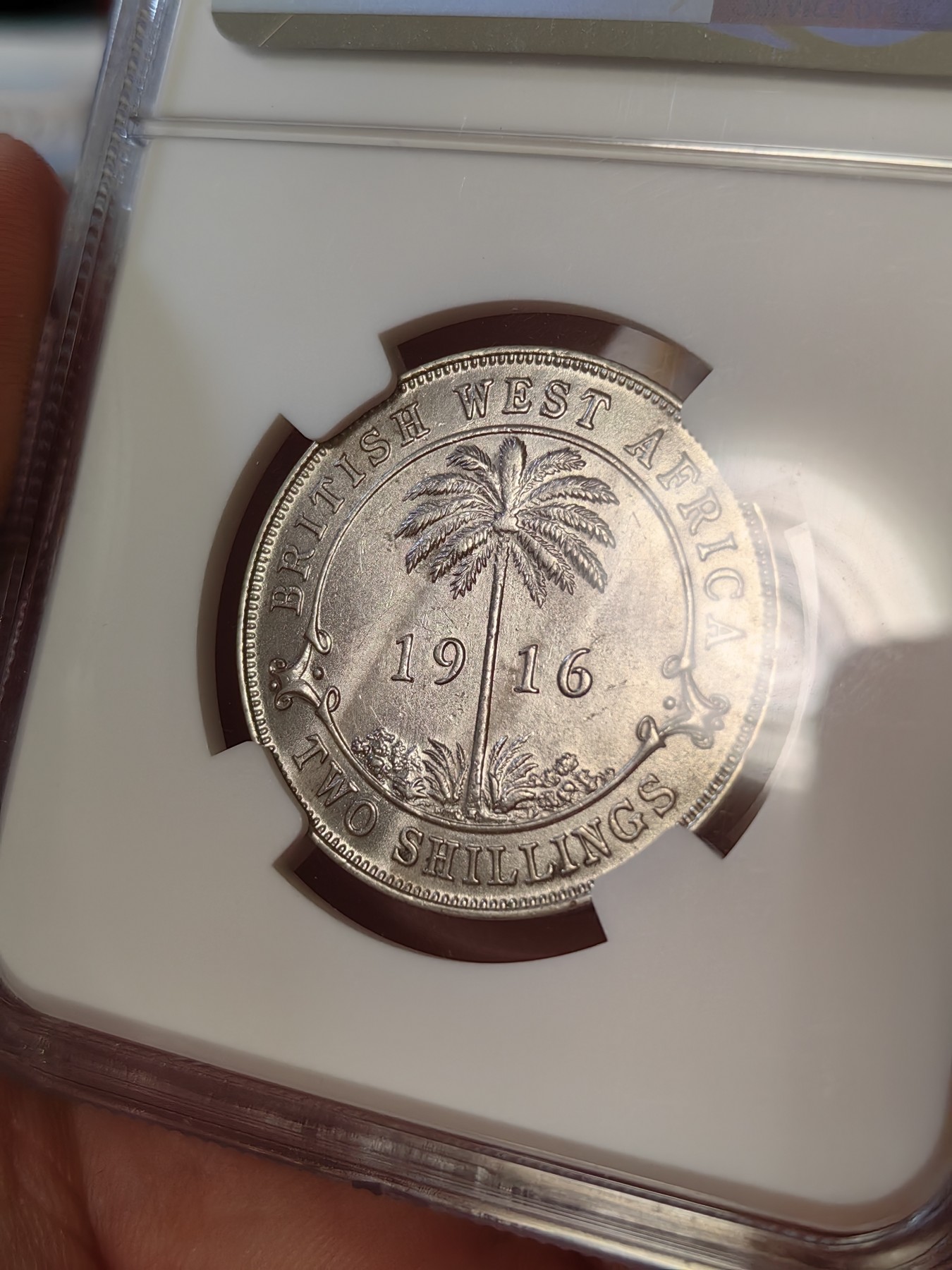 橡树集藏-006场 海纳百川 ngc-unc 1916年英属西非2先令银币