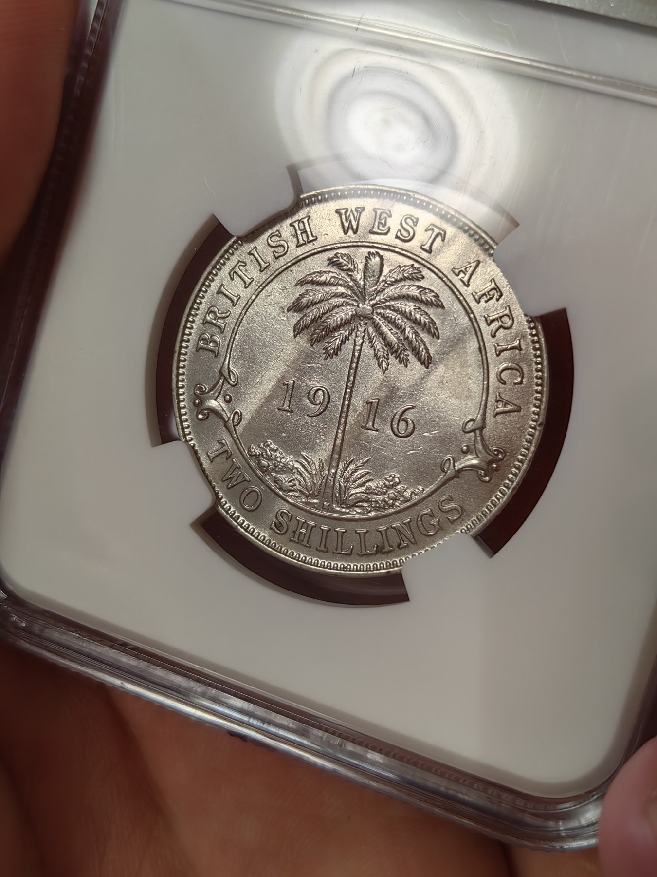 橡树集藏-006场 海纳百川 ngc-unc 1916年英属西非2先令银币