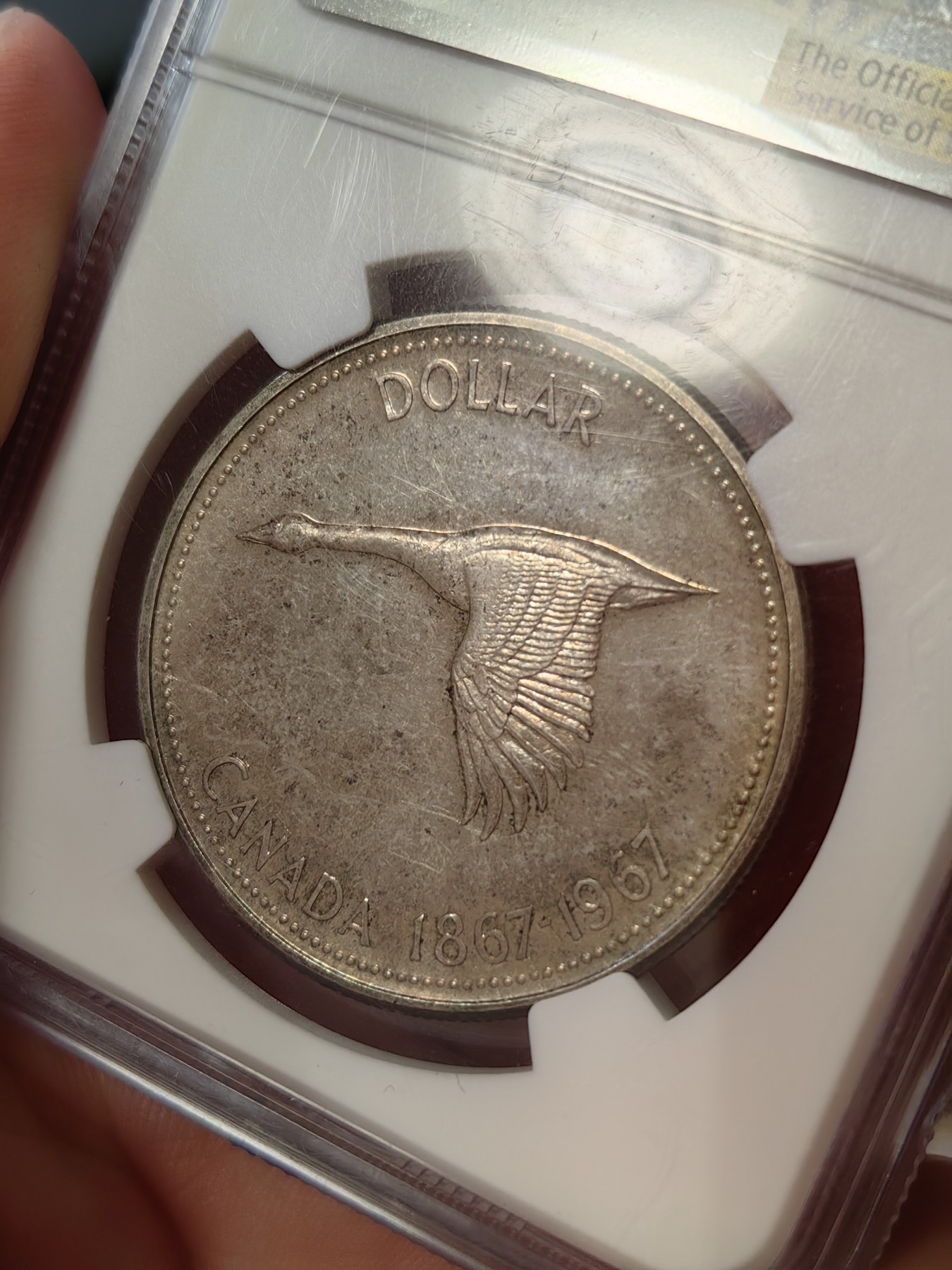 橡树集藏-006场 海纳百川 ngc-SP65 1967加拿大1元银币 精制样币 1867-1967 加拿大百年纪念银币 飞翔的加拿大鹅