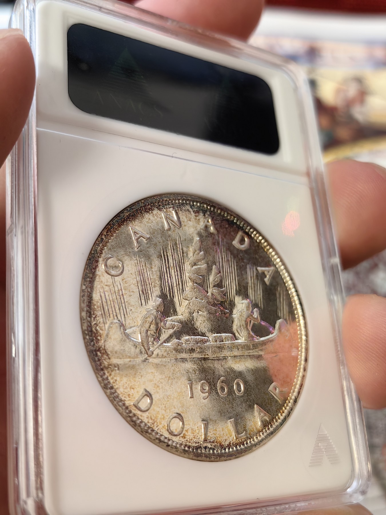 橡树集藏-006场 海纳百川 anacs-Ms65pl 1960年加拿大划船大银币 桂冠伊伊少女头像 镜面感强烈 绝版可爱小白盒 视觉效果极佳 盈掌可握 不可多得的欣赏佳品