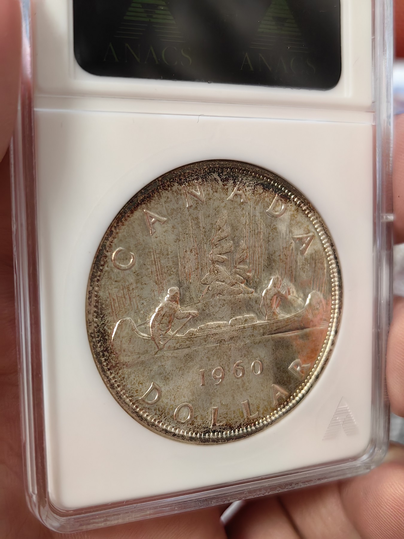 橡树集藏-006场 海纳百川 anacs-Ms65pl 1960年加拿大划船大银币 桂冠伊伊少女头像 镜面感强烈 绝版可爱小白盒 视觉效果极佳 盈掌可握 不可多得的欣赏佳品