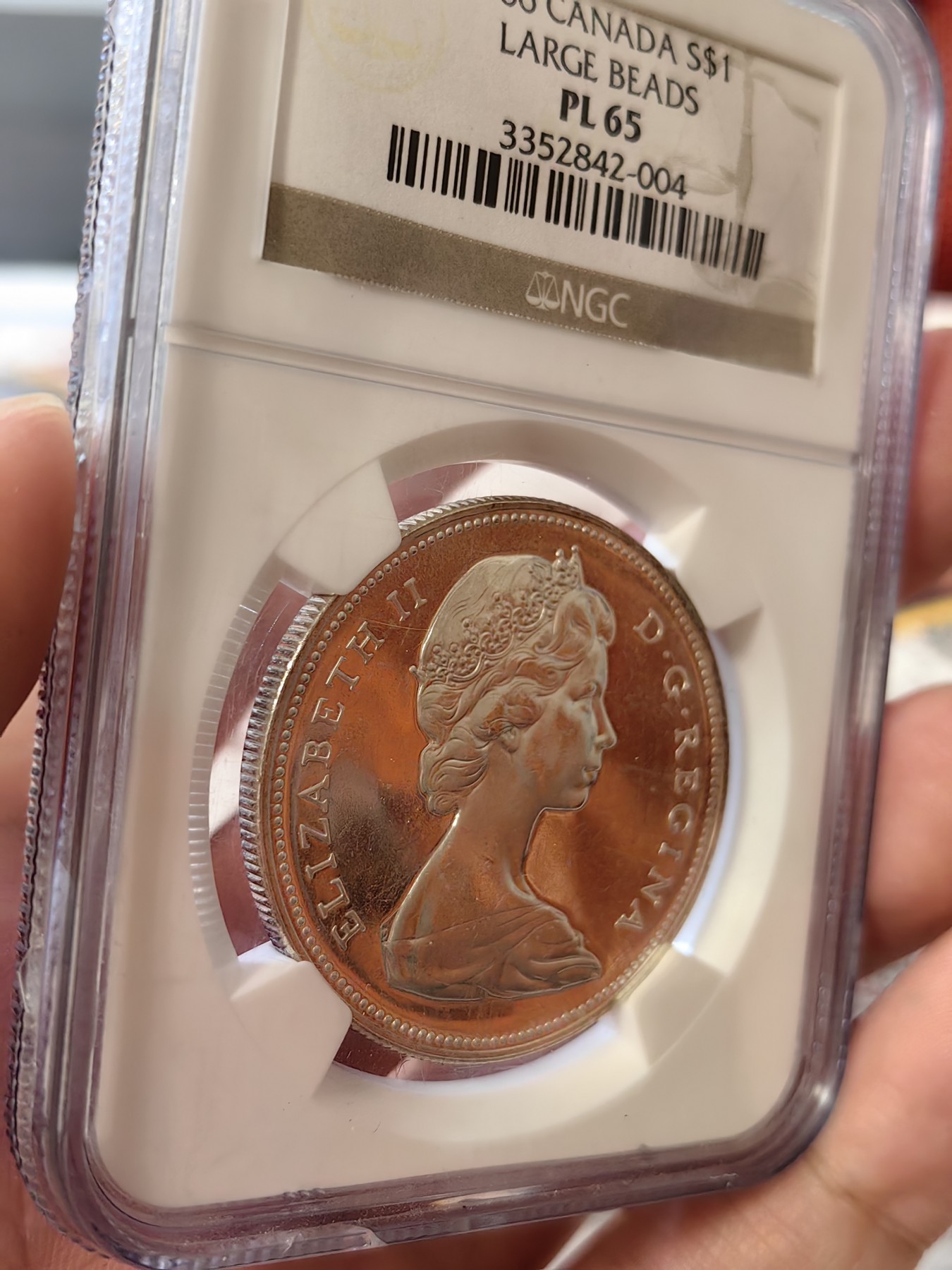 橡树集藏-006场 海纳百川 ngc-pl65 1966年加拿大划船1美元大银币 类精制工艺 光泽四溢 大圆珠版本 中年伊伊头像 端庄典雅