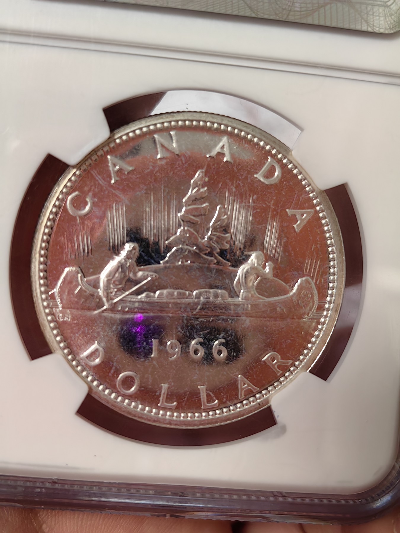 橡树集藏-006场 海纳百川 ngc-pl65 1966年加拿大划船1美元大银币 类精制工艺 光泽四溢 大圆珠版本 中年伊伊头像 端庄典雅