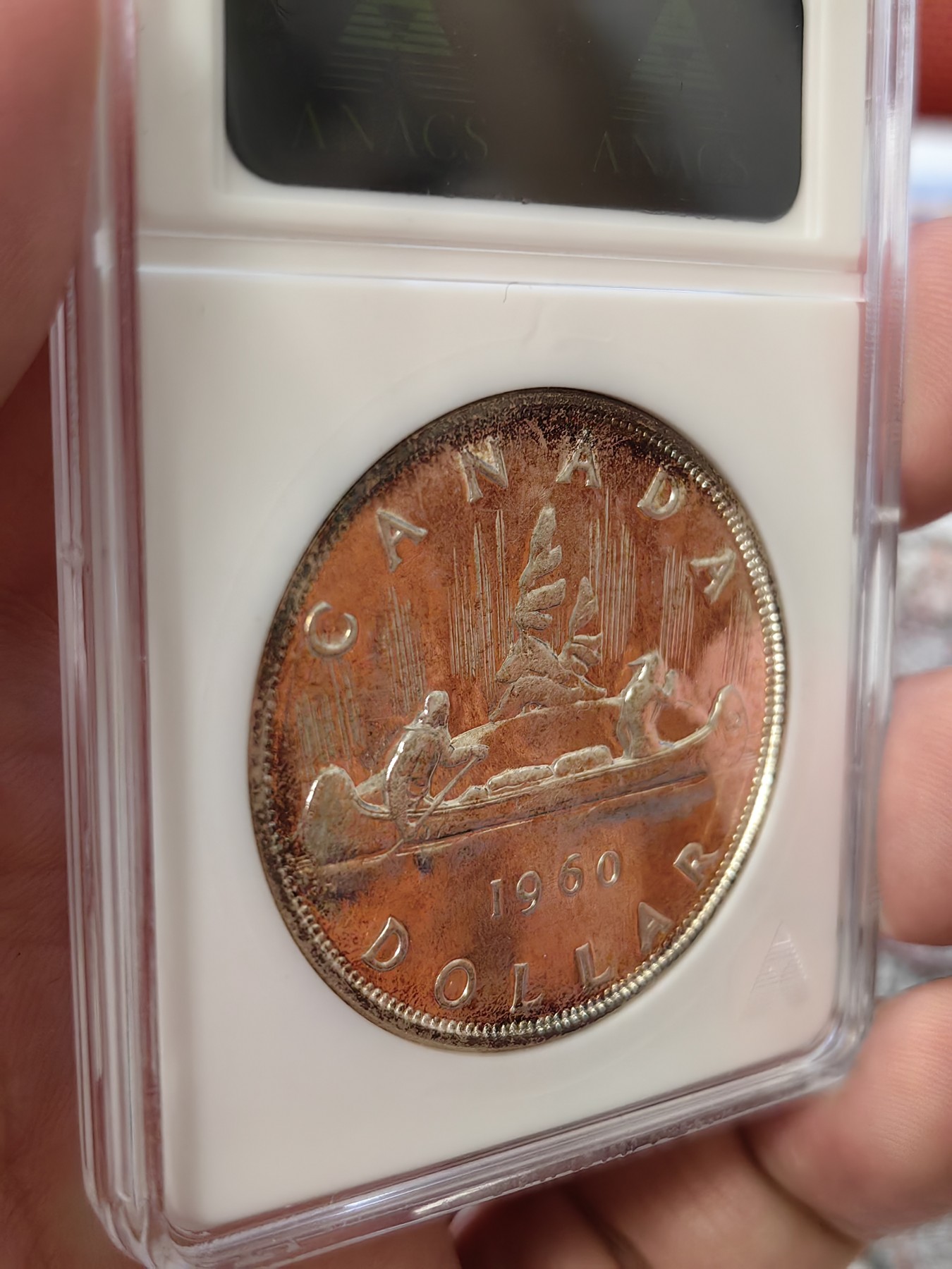 橡树集藏-006场 海纳百川 anacs-Ms65pl 1960年加拿大划船大银币 桂冠伊伊少女头像 镜面感强烈 绝版可爱小白盒 视觉效果极佳 盈掌可握 不可多得的欣赏佳品