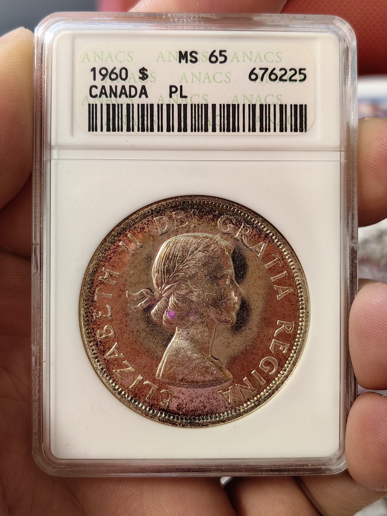 橡树集藏-006场 海纳百川 anacs-Ms65pl 1960年加拿大划船大银币 桂冠伊伊少女头像 镜面感强烈 绝版可爱小白盒 视觉效果极佳 盈掌可握 不可多得的欣赏佳品