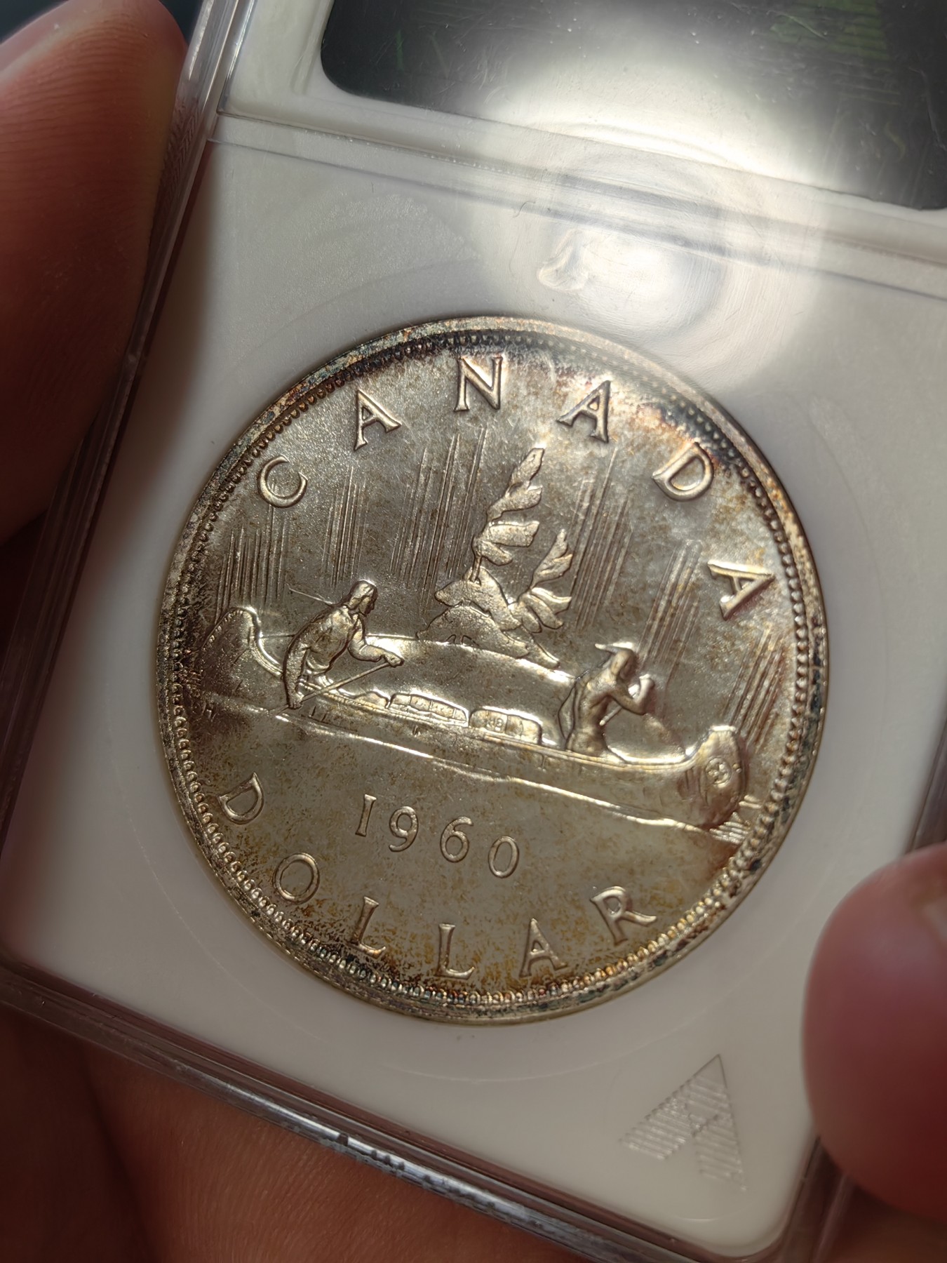 橡树集藏-006场 海纳百川 anacs-Ms65pl 1960年加拿大划船大银币 桂冠伊伊少女头像 镜面感强烈 绝版可爱小白盒 视觉效果极佳 盈掌可握 不可多得的欣赏佳品