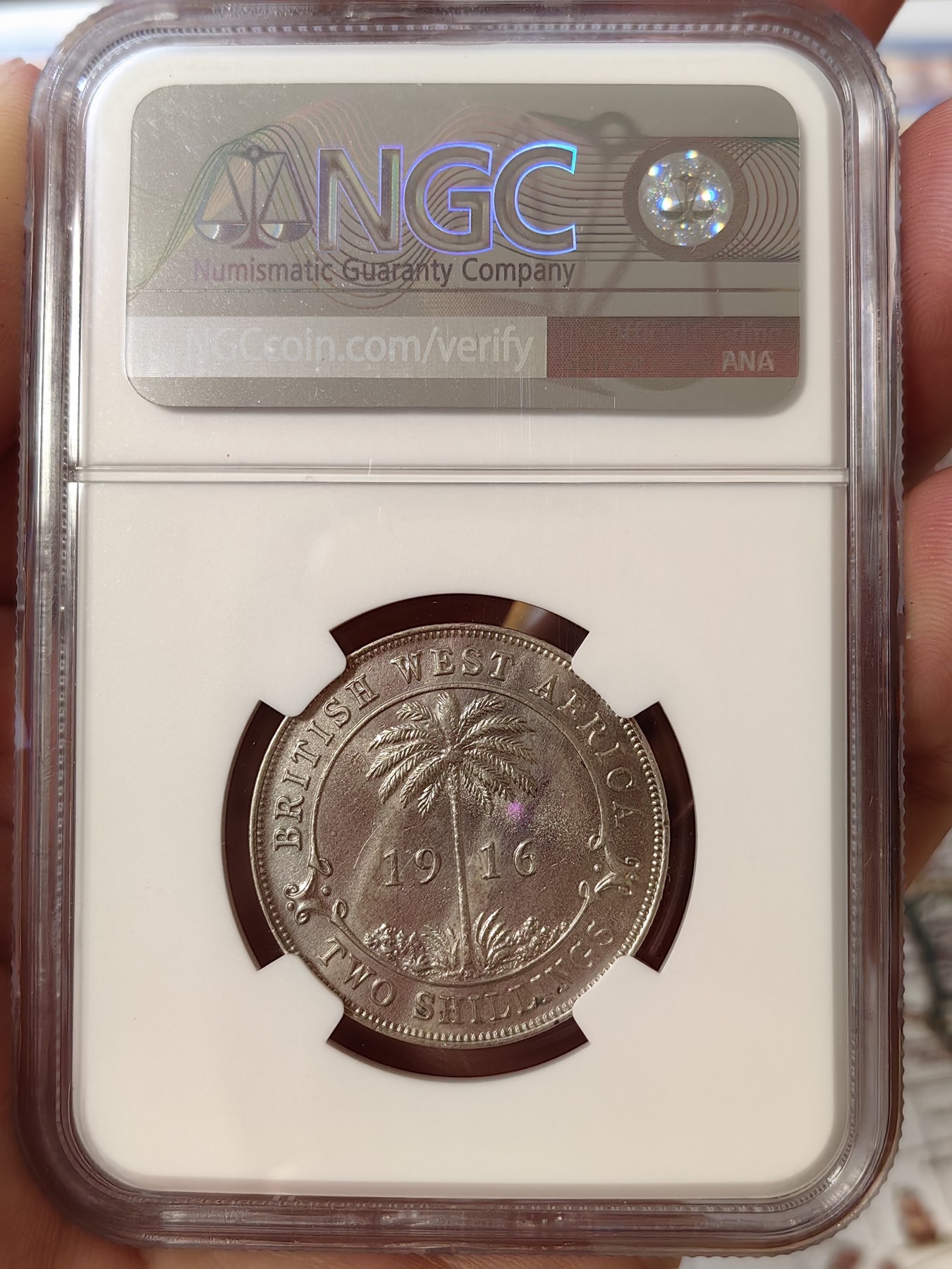 橡树集藏-006场 海纳百川 ngc-unc 1916年英属西非2先令银币