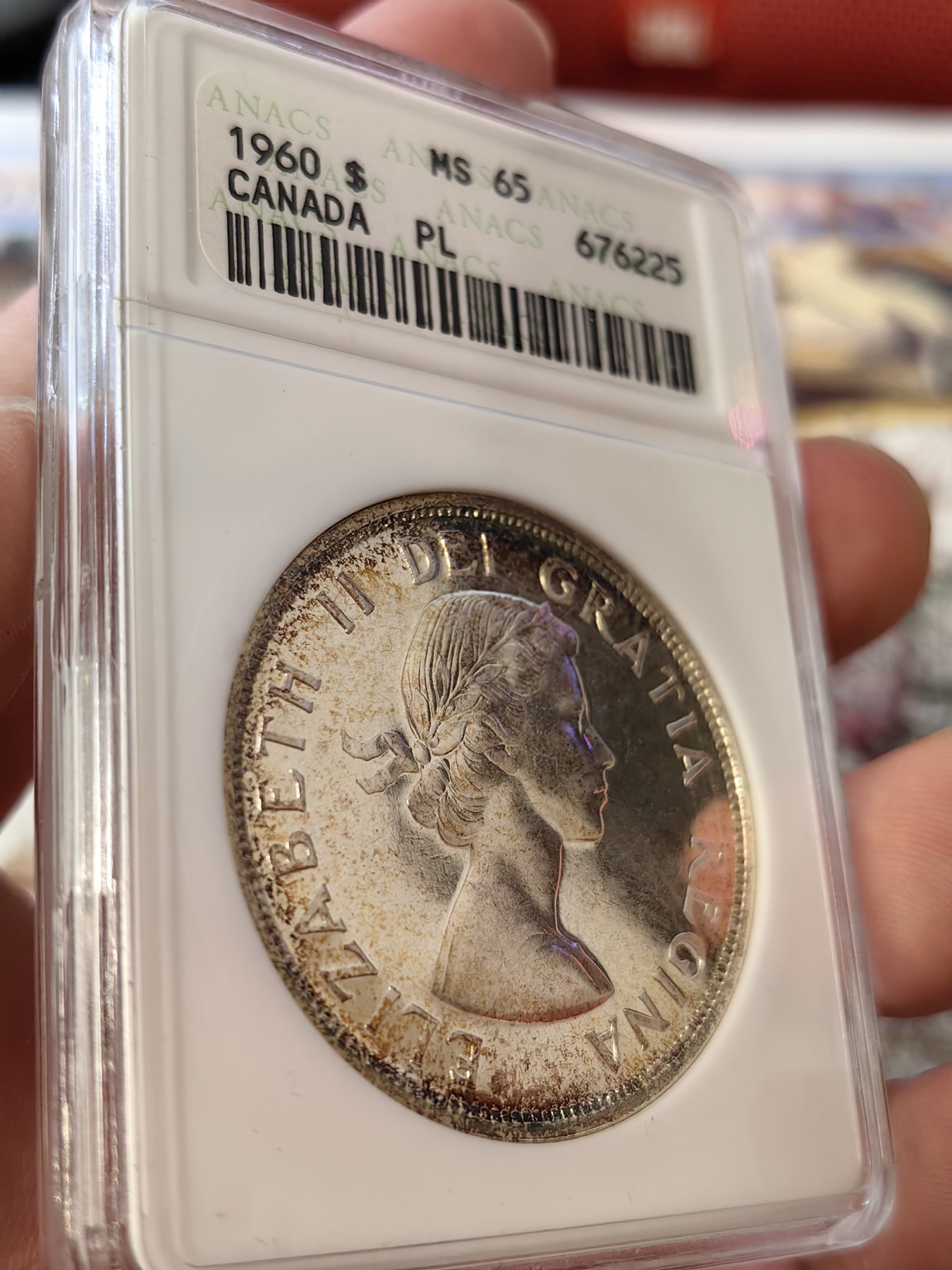 橡树集藏-006场 海纳百川 anacs-Ms65pl 1960年加拿大划船大银币 桂冠伊伊少女头像 镜面感强烈 绝版可爱小白盒 视觉效果极佳 盈掌可握 不可多得的欣赏佳品
