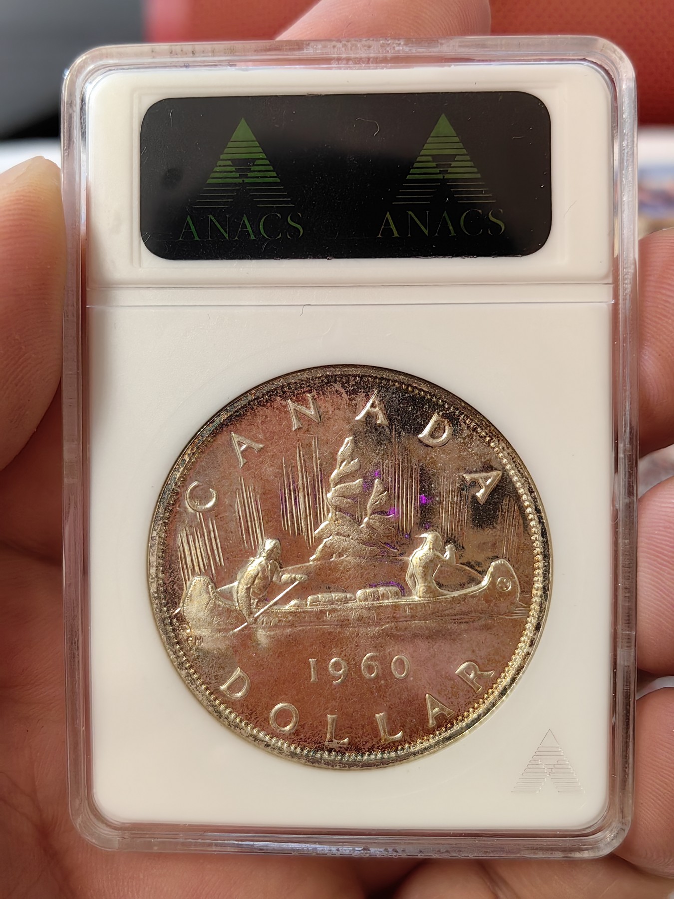 橡树集藏-006场 海纳百川 anacs-Ms65pl 1960年加拿大划船大银币 桂冠伊伊少女头像 镜面感强烈 绝版可爱小白盒 视觉效果极佳 盈掌可握 不可多得的欣赏佳品