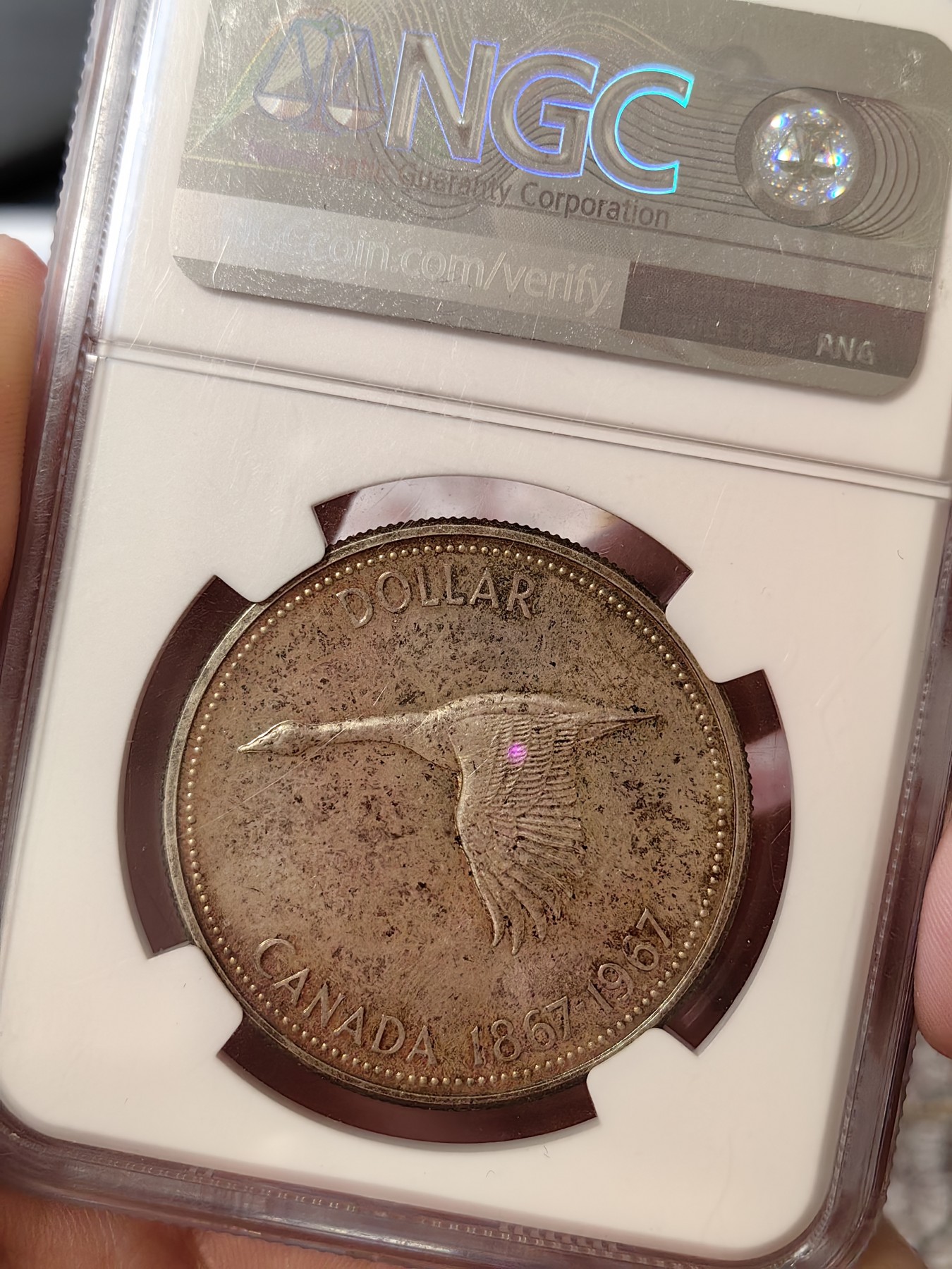 橡树集藏-006场 海纳百川 ngc-SP65 1967加拿大1元银币 精制样币 1867-1967 加拿大百年纪念银币 飞翔的加拿大鹅