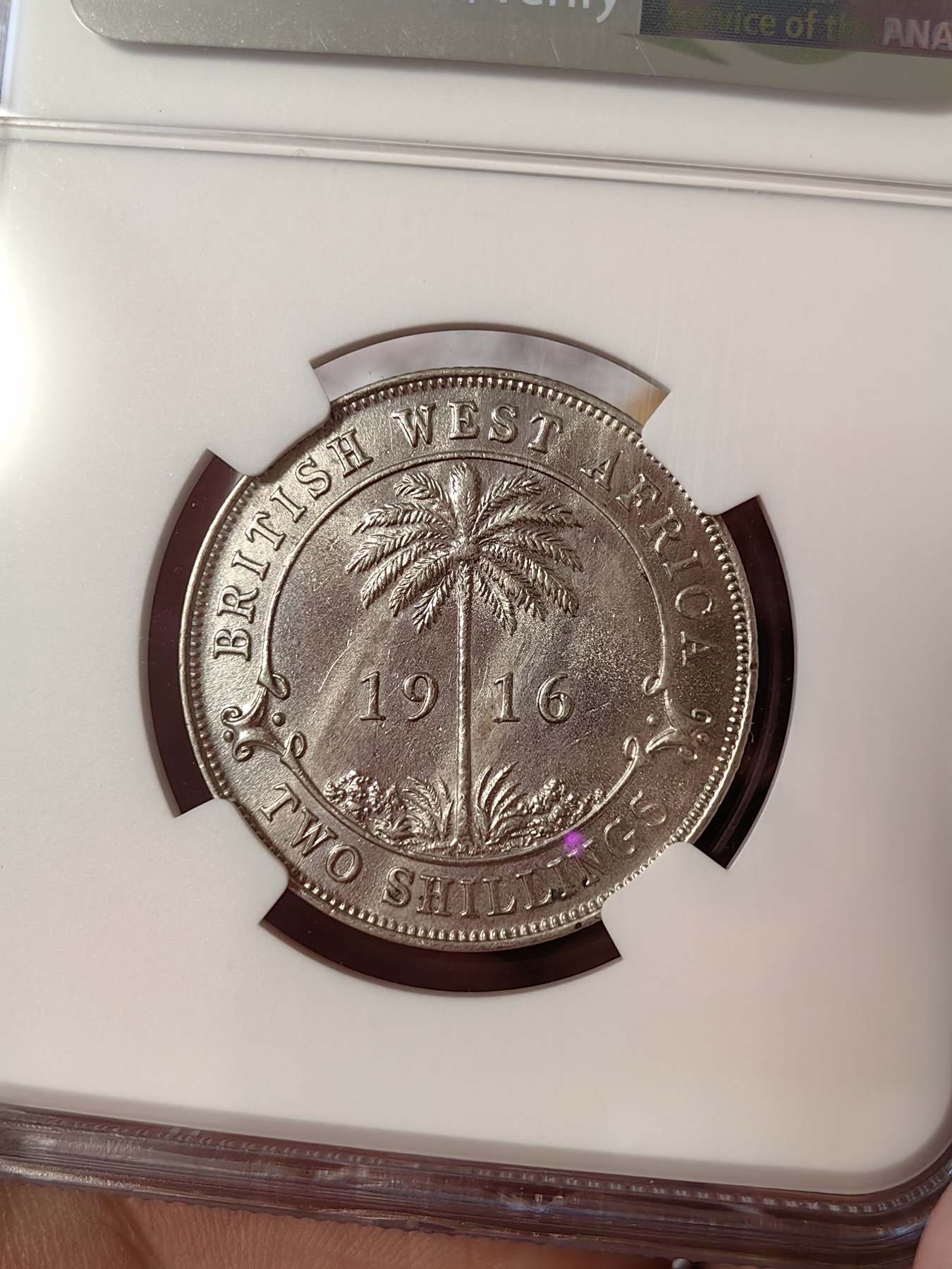 橡树集藏-006场 海纳百川 ngc-unc 1916年英属西非2先令银币