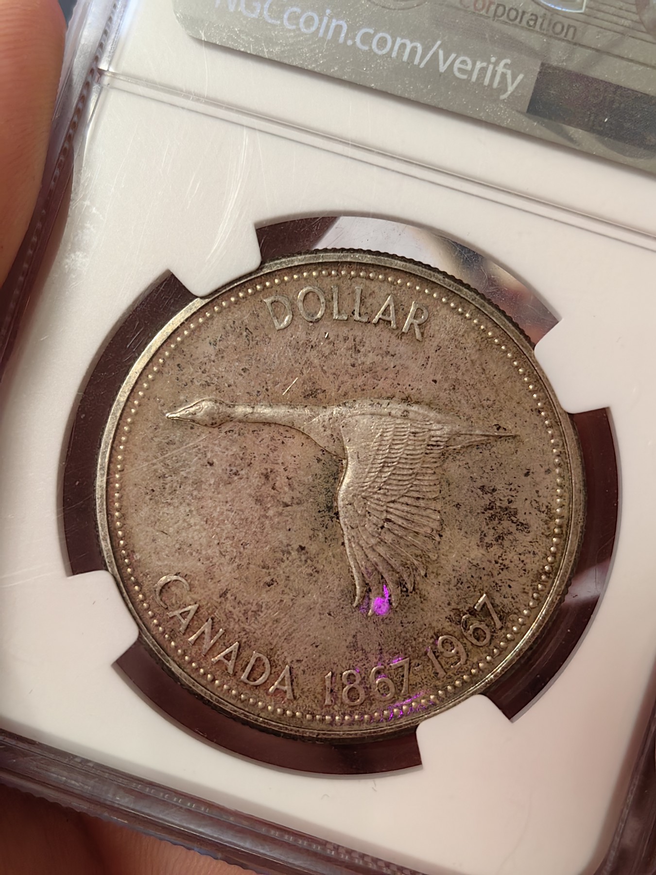 橡树集藏-006场 海纳百川 ngc-SP65 1967加拿大1元银币 精制样币 1867-1967 加拿大百年纪念银币 飞翔的加拿大鹅