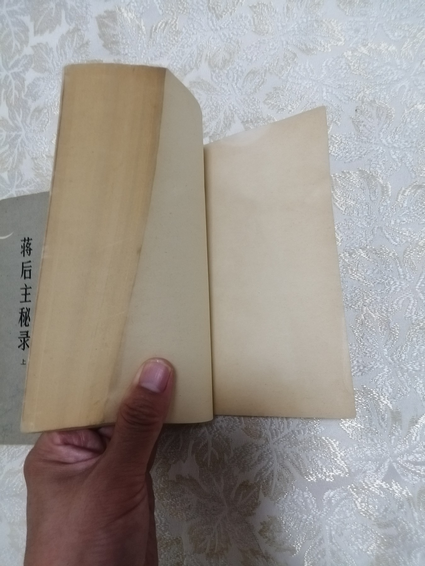蒋后主秘录（上下）