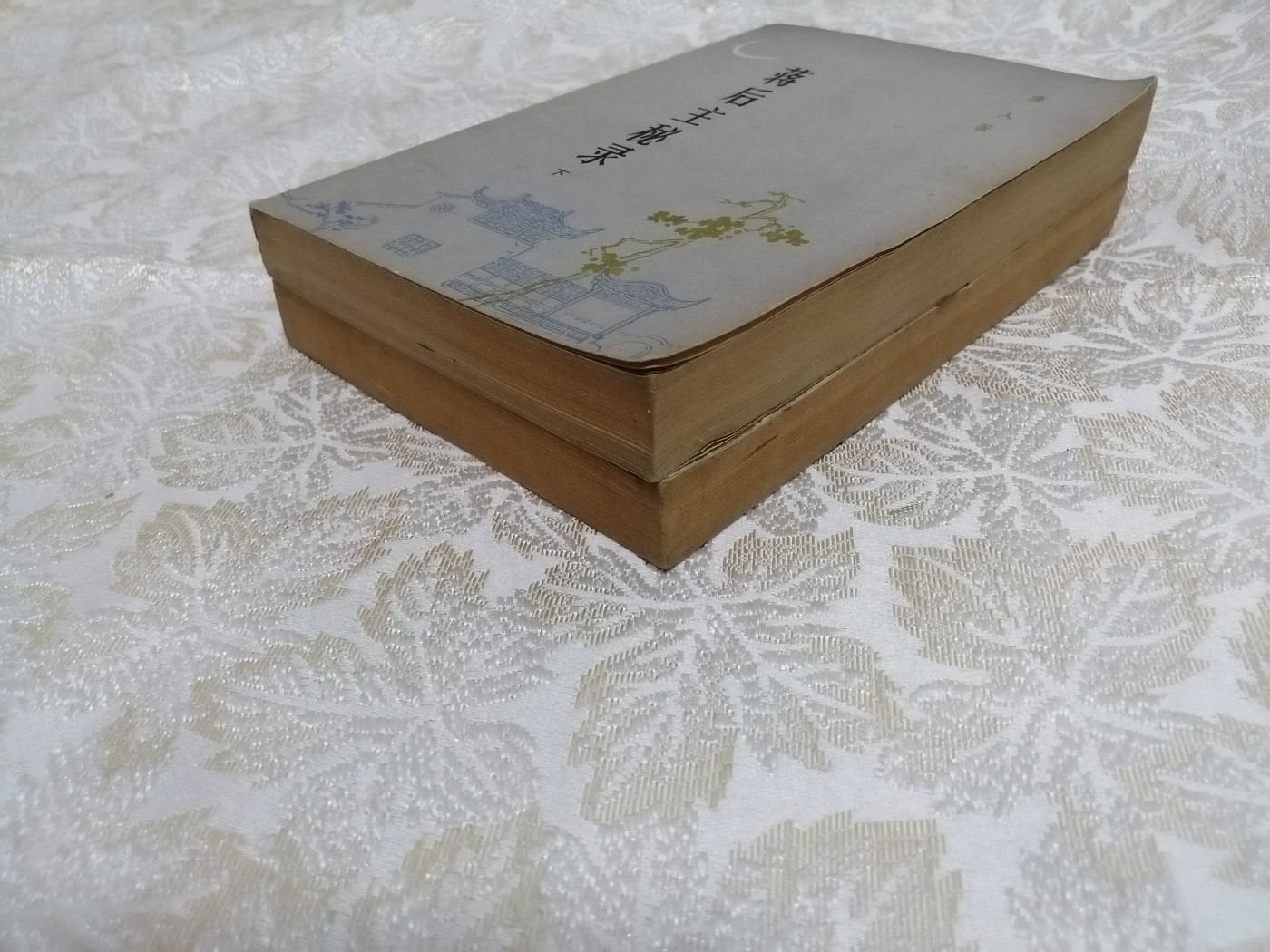 蒋后主秘录（上下）