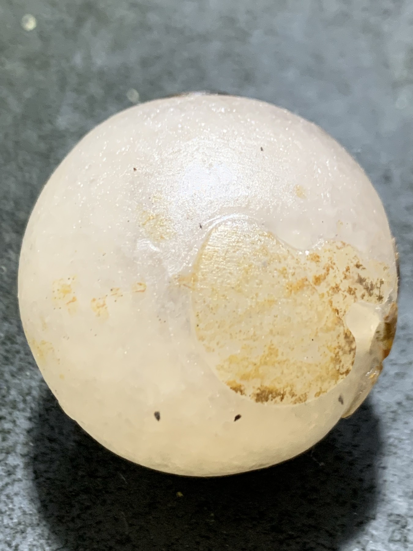 精美冰飘亚光战国红玛瑙手工俏色巧雕蜗牛随形大圆珠一个，