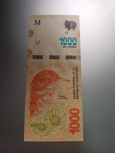 【专场20230706】遗世独立的大洲和挺穷的大洲——美洲/非洲钞/币专场 - 【拍品004】阿根廷2018版1000比索UNC双冠