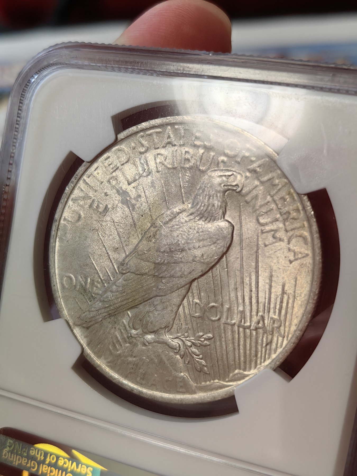 橡树集藏-006场 海纳百川 ngc-MS64  1923年美国和平1美元银币 柔美自由女神 浮雕完好打制佳 顶级车轮霜光