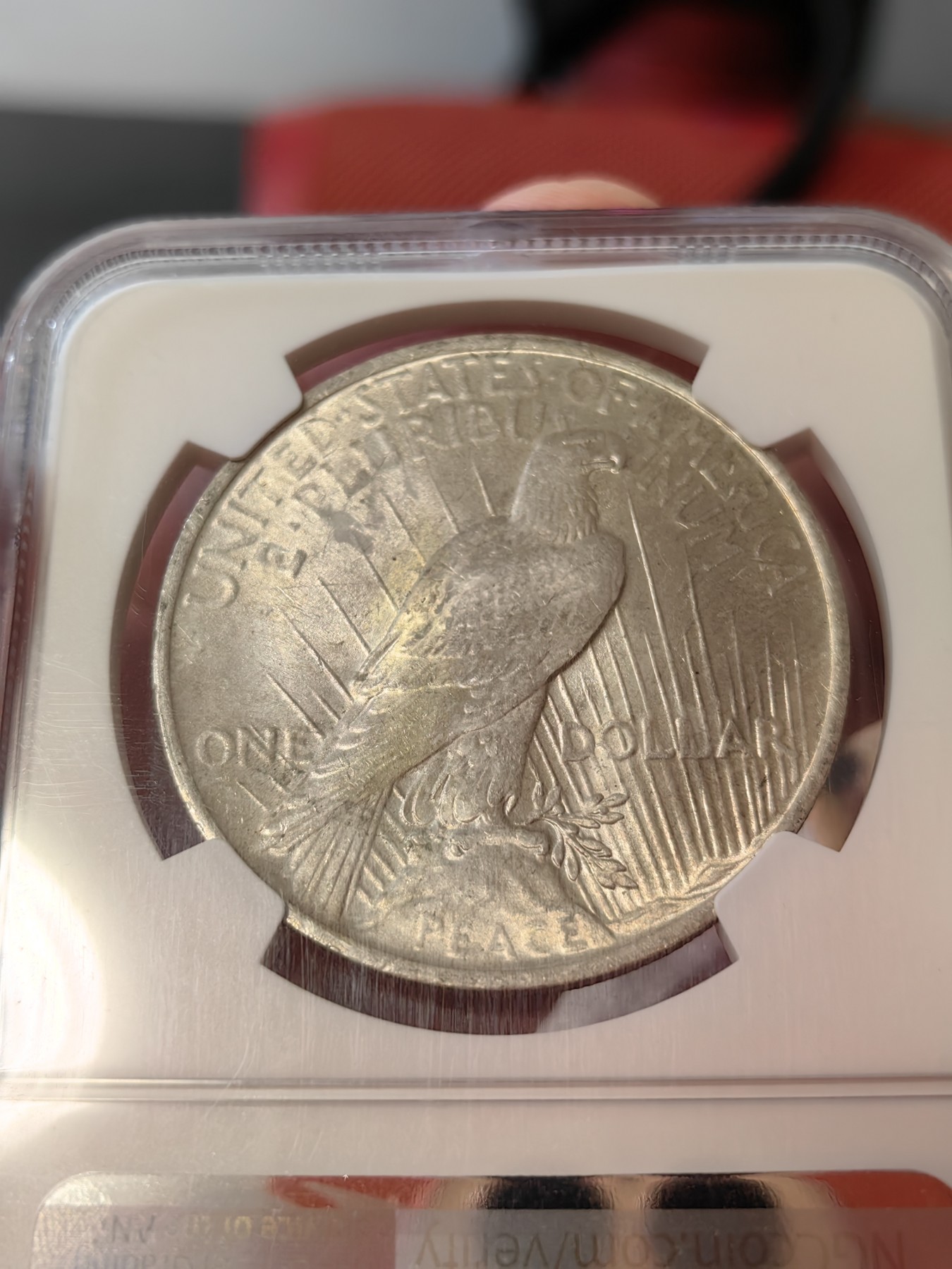 橡树集藏-006场 海纳百川 ngc-MS64  1923年美国和平1美元银币 柔美自由女神 浮雕完好打制佳 顶级车轮霜光