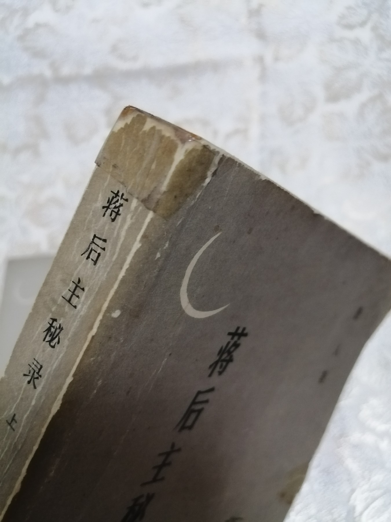 蒋后主秘录（上下）