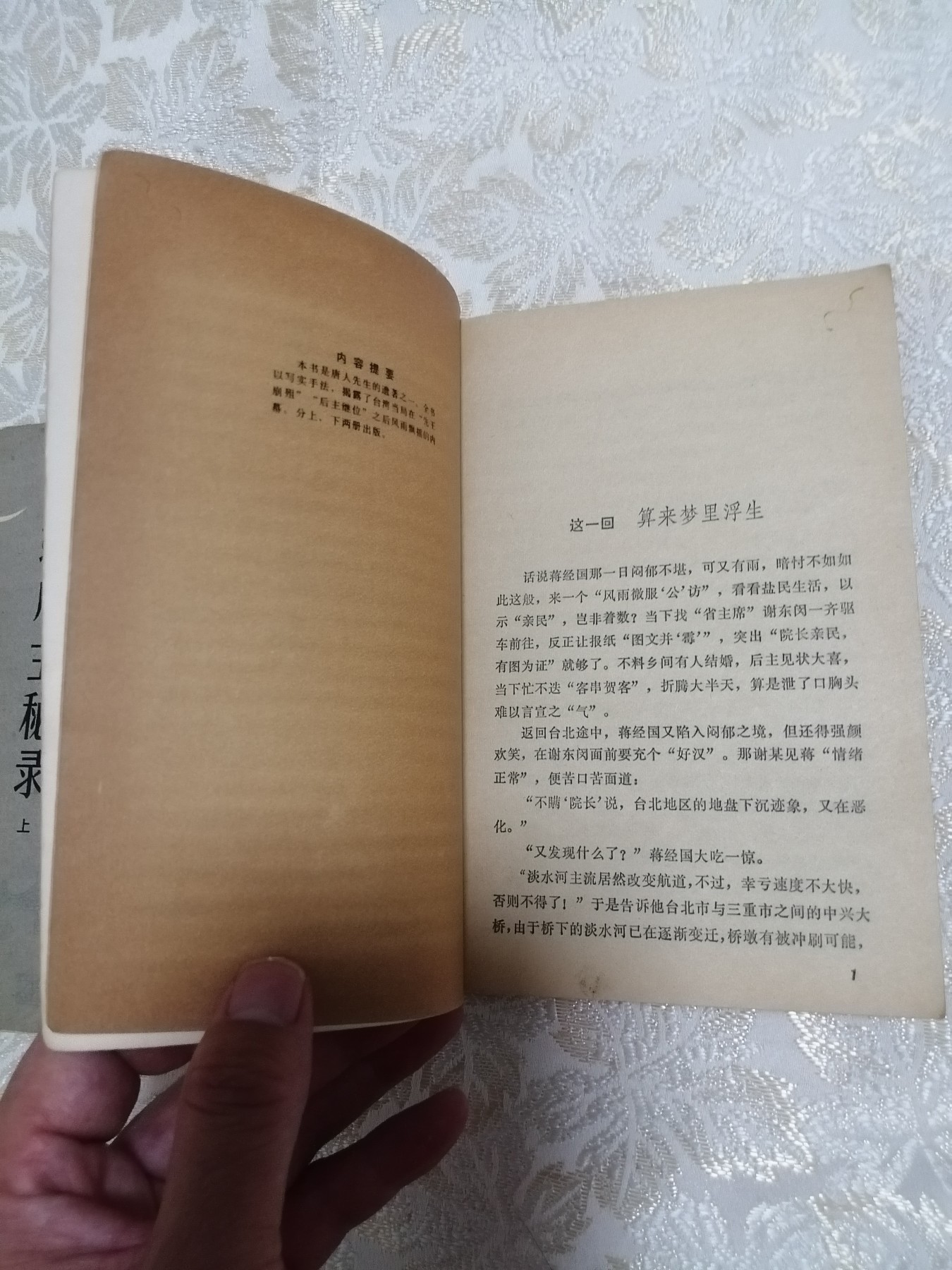 蒋后主秘录（上下）