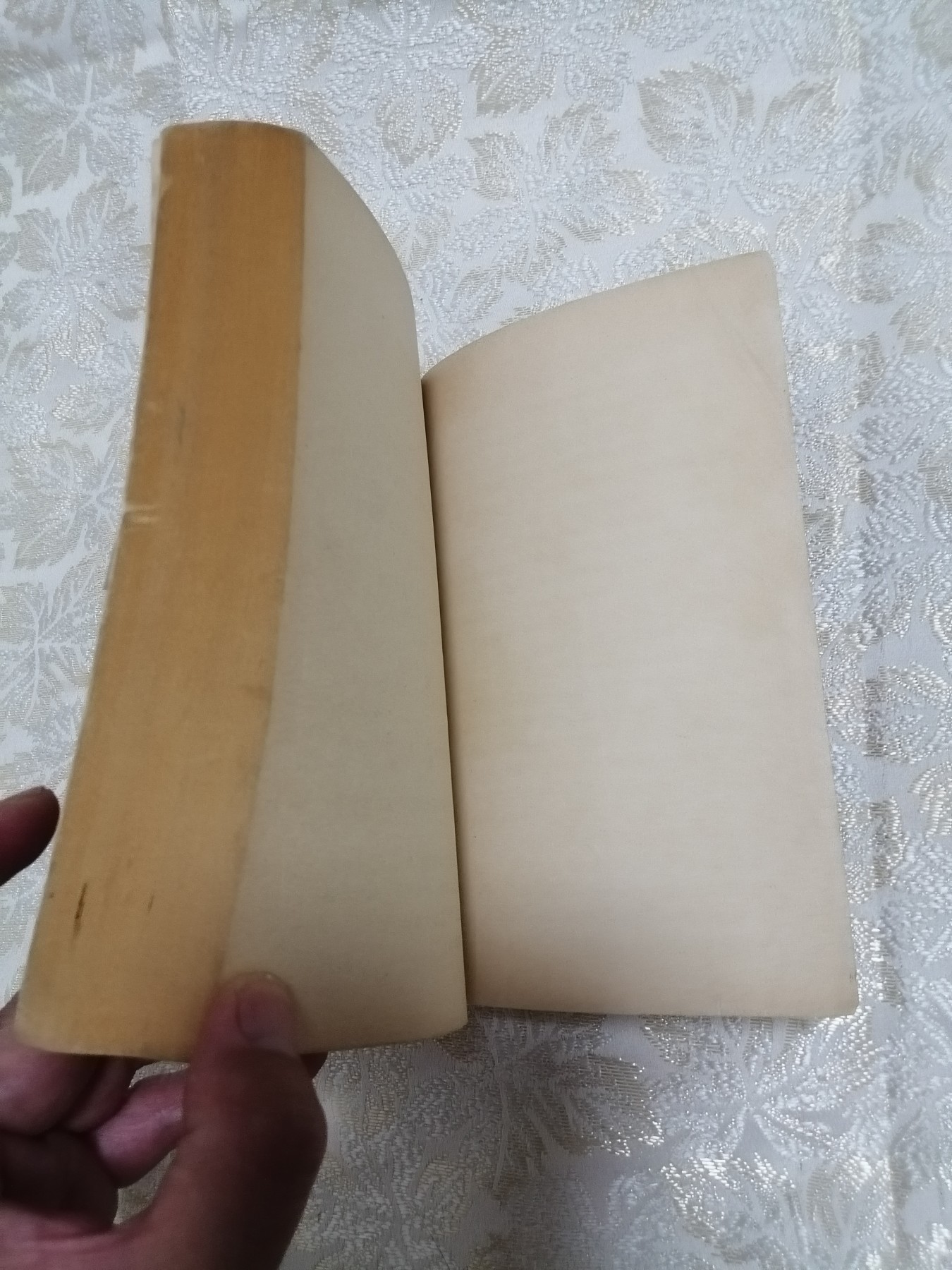 蒋后主秘录（上下）