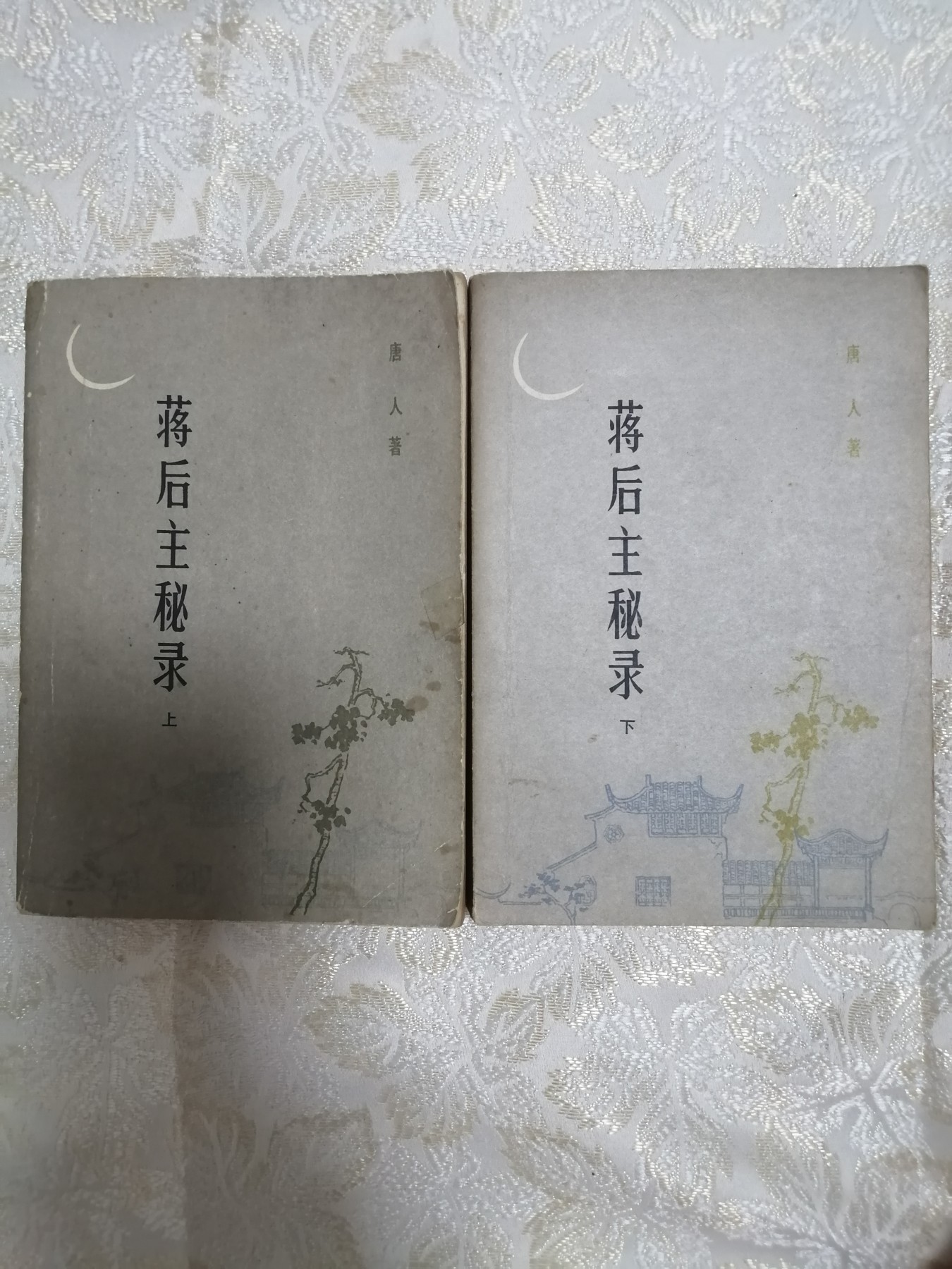 蒋后主秘录（上下）