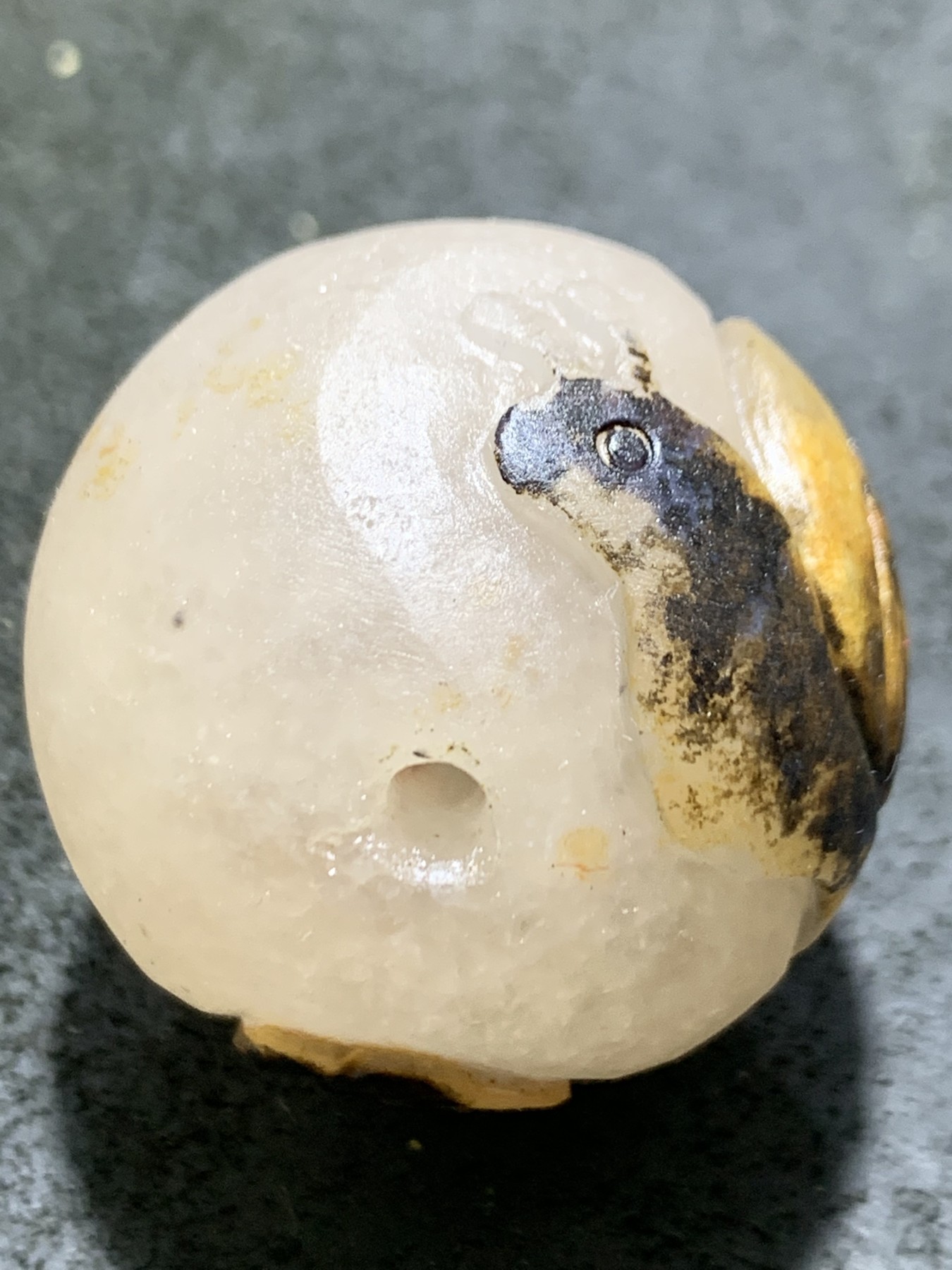精美冰飘亚光战国红玛瑙手工俏色巧雕蜗牛随形大圆珠一个，