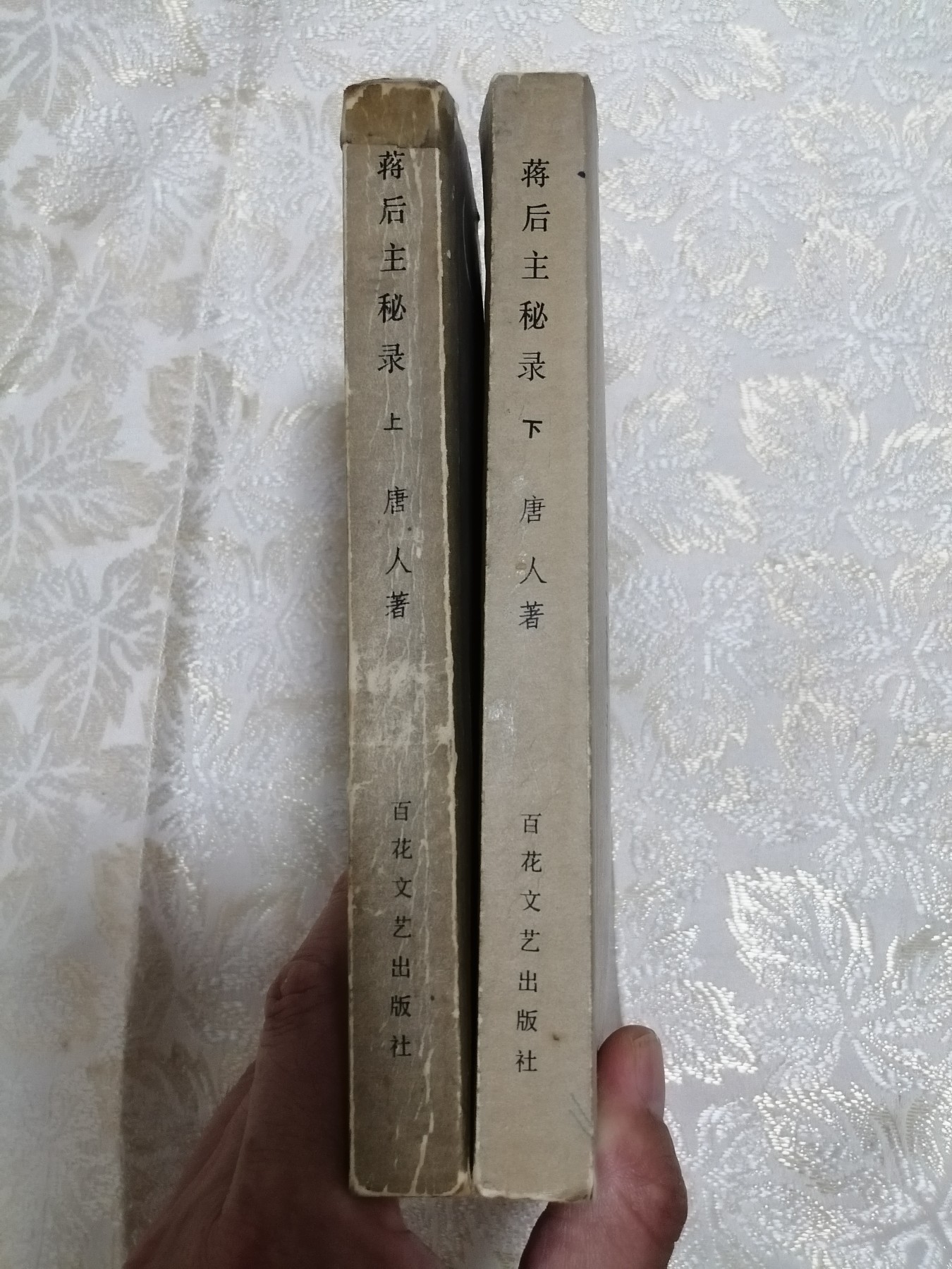蒋后主秘录（上下）