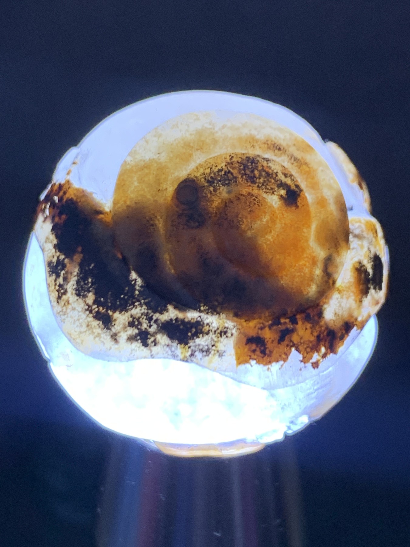 精美冰飘亚光战国红玛瑙手工俏色巧雕蜗牛随形大圆珠一个，