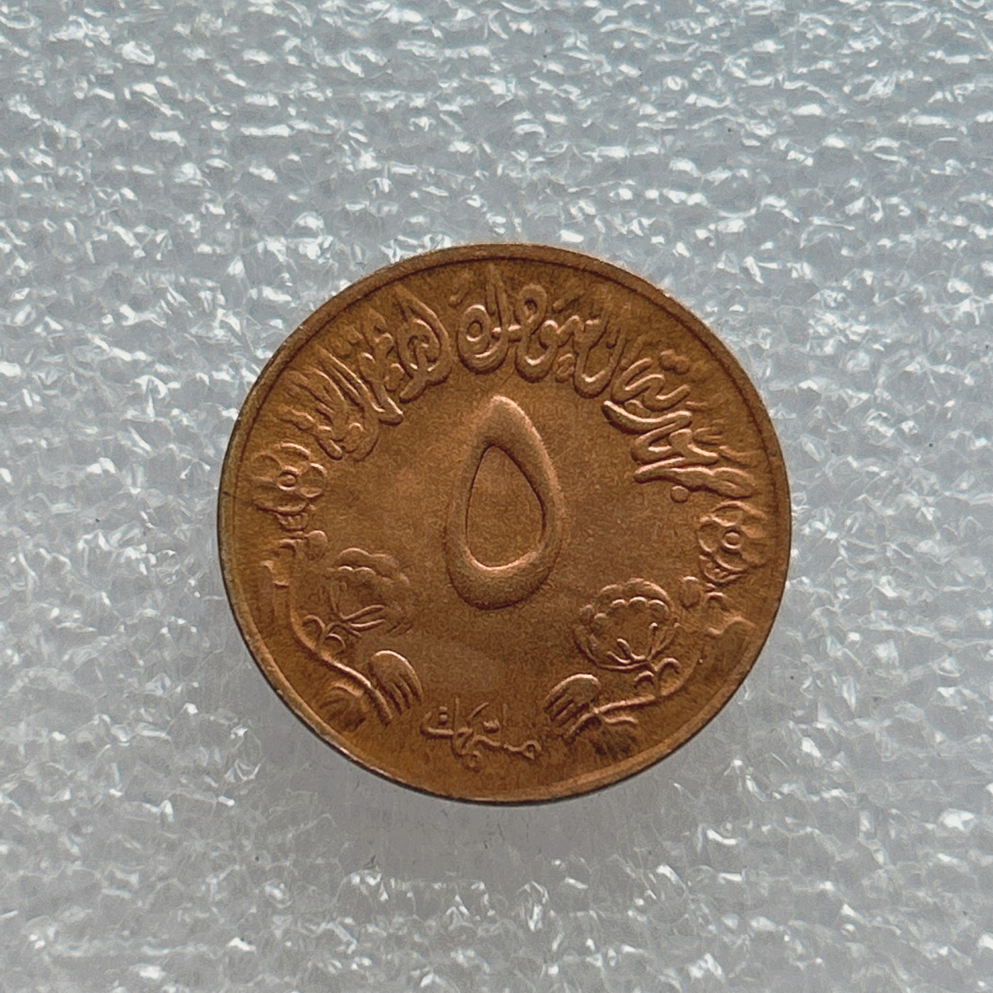 全场一元起拍 世界钱币散币场 第四期 苏丹5米利姆FAO纪念币