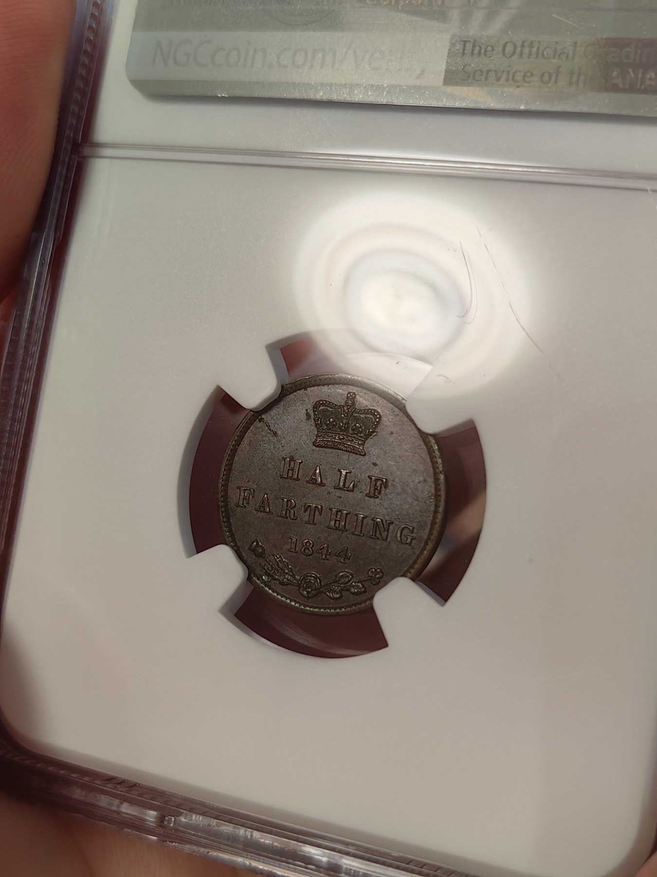 橡树集藏-006场 海纳百川 NGC-MS61 英国1844年1/2法新，整体包浆均匀，底板仍有车轮转光，观感好，一枚不错的英系辅币