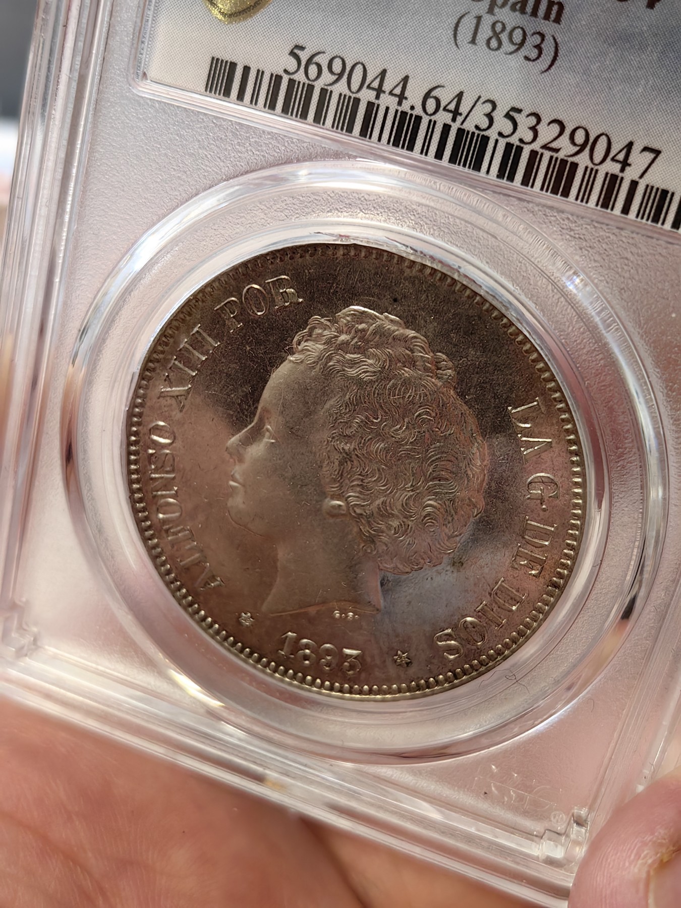 橡树集藏-006场 海纳百川 pcgs-Ms64 1893年西班牙5比塞塔大银币 阿方索十三世 爆炸头男童   数据库唯一冠军分，高分顶级品相，双面pl感十足，镜面感强烈。底板完美打制佳，双面深打，浮雕完美，头发丝丝入扣，实物绝美。车轮流银强霜光，西属大热门。可爱微笑男童，肥嘟嘟小脸。