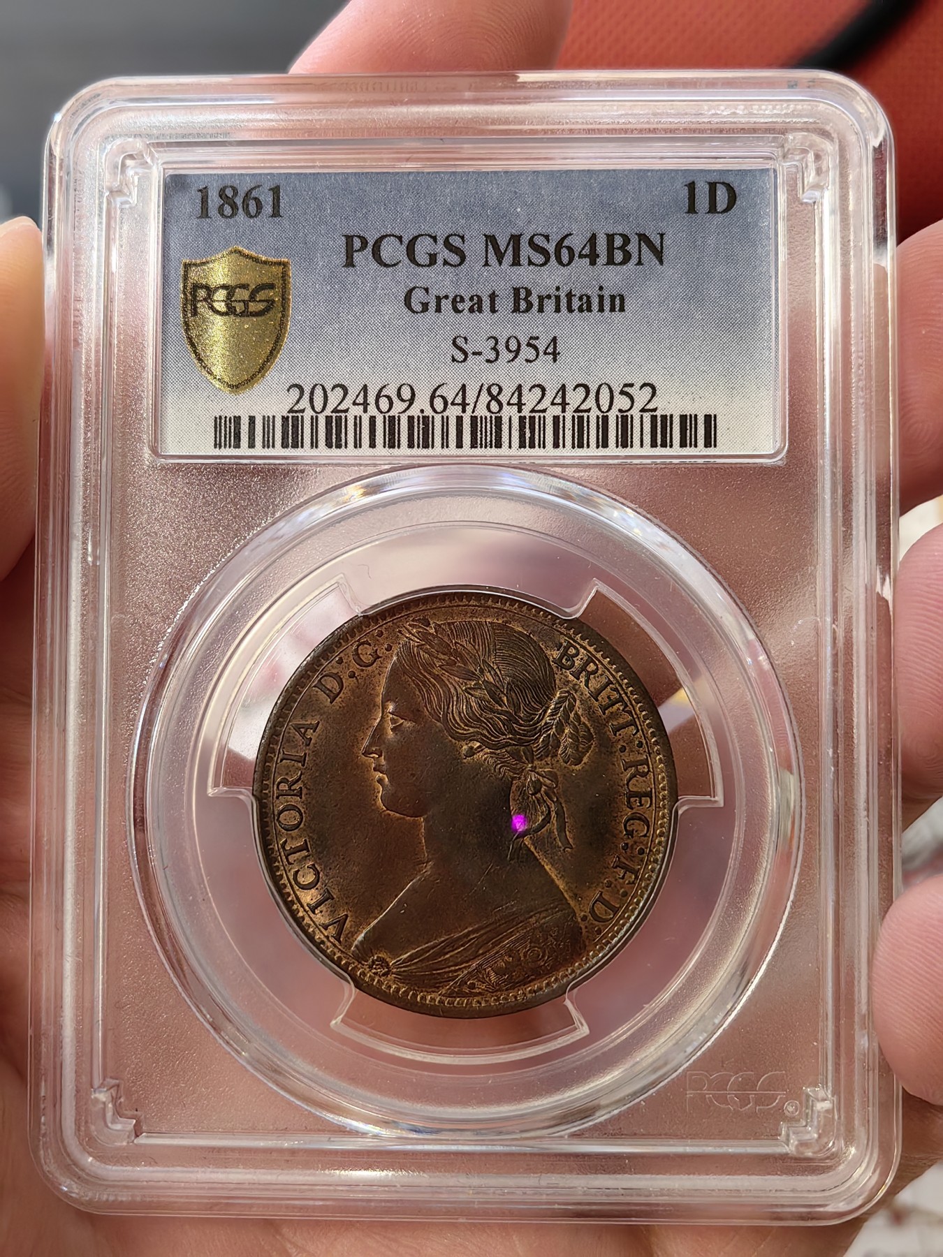 橡树集藏-006场 海纳百川 pcgs Ms64bn，1861年英国小维便士，鎏金彩包浆。顶级品。 实物观感极佳，小维的中年形象，雍容华贵。 这枚奇特的轮廓金彩，使她在视觉上脱颖而出。2012年n64，ha拍卖价2400元。