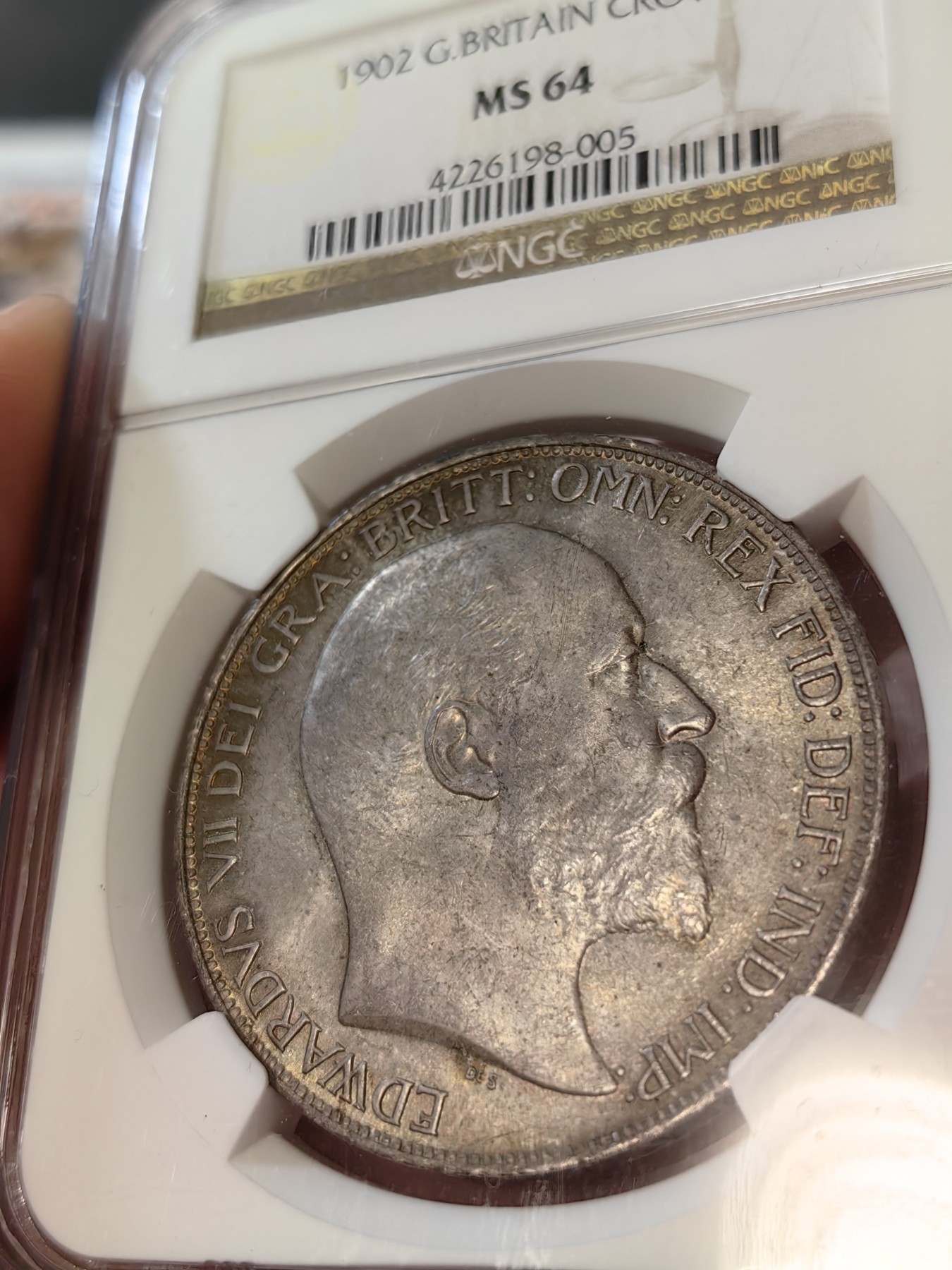 橡树集藏-006场 海纳百川 ngc-Ms64 1902年英国爱七马剑克朗银币 高分好品 双面古朴老包浆 带彩 细节好打制佳 普制高分比精制难得 老盒品质保证 英系主币大银