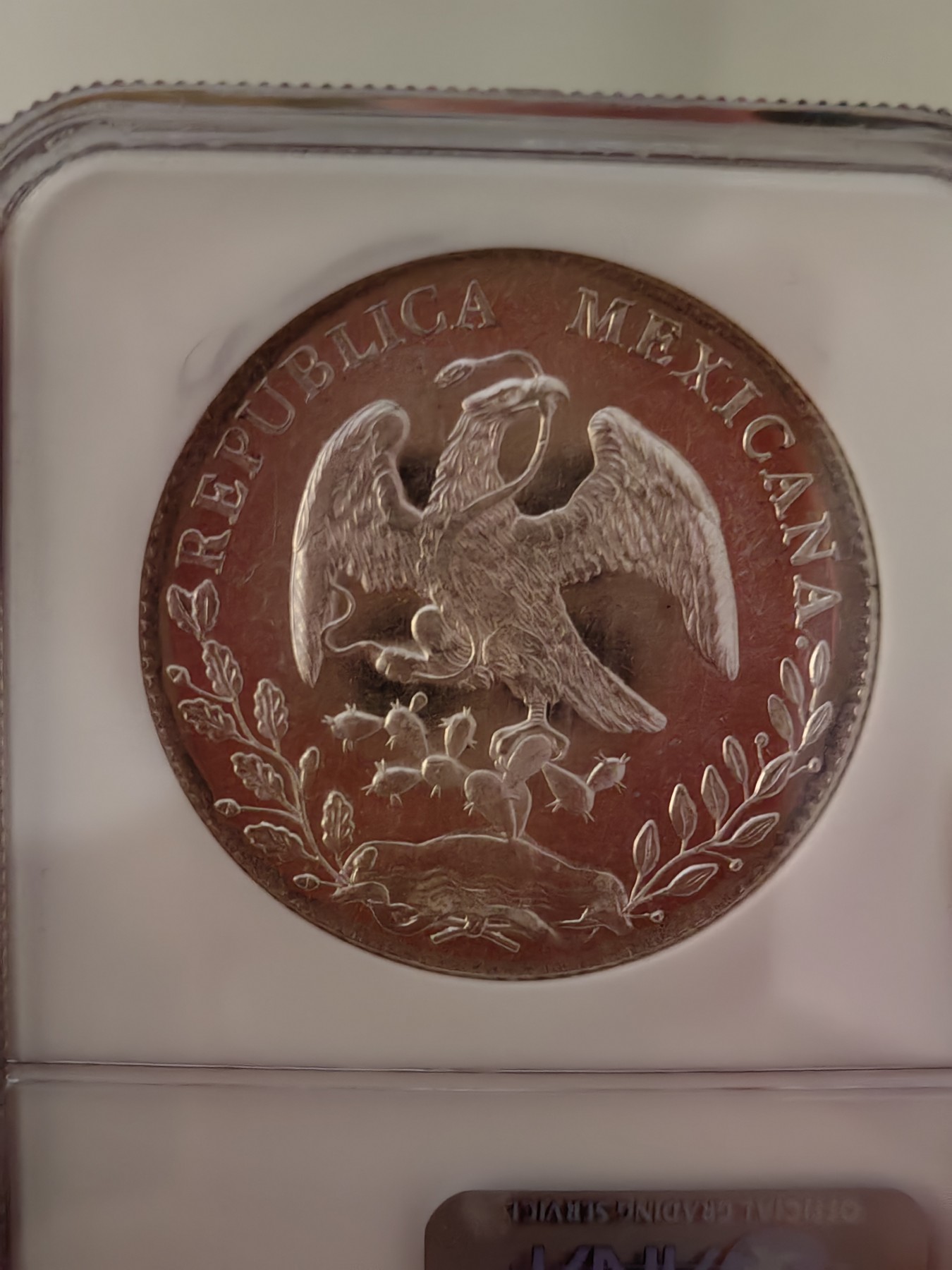 橡树集藏-006场 海纳百川 NGC-MS64PL  1896年墨西哥 8R鹰洋，罕见又养眼的类镜面凝霜效果 冠军分！！！实物绝美，顶级观感。