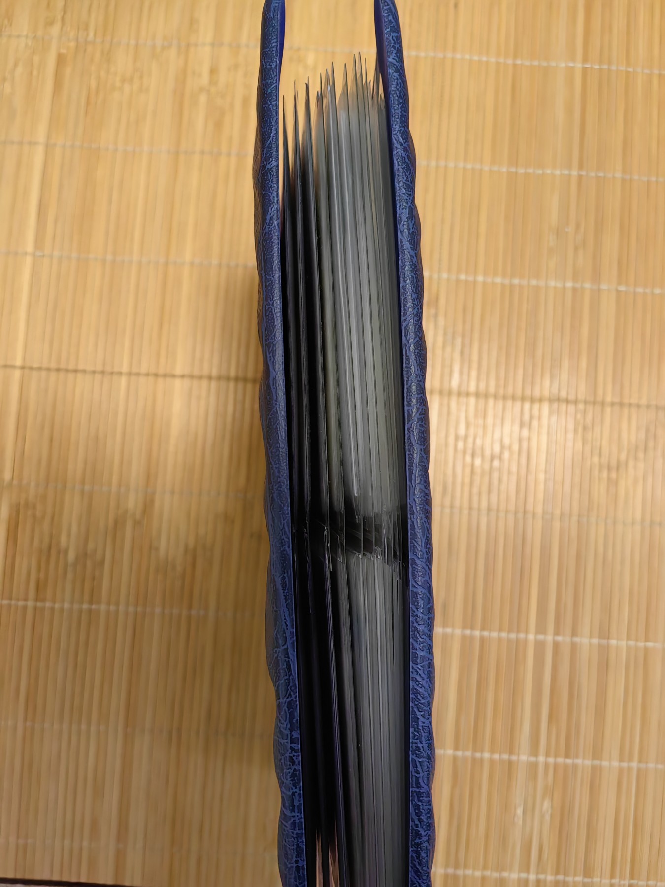 橡树集藏-006场 海纳百川 欧洲大开本钱币封册，荷兰首日邮币封。11页，22枚。