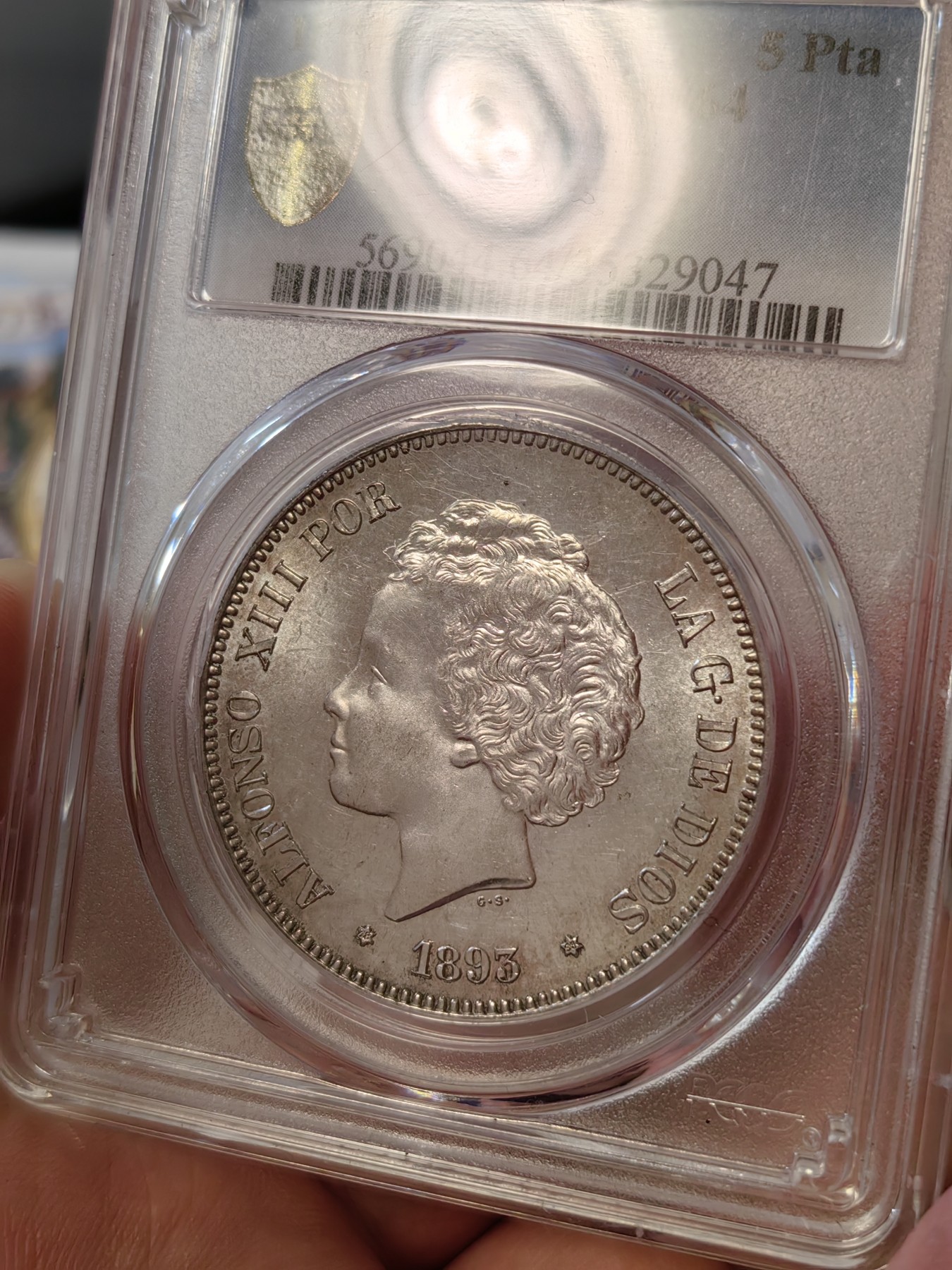 橡树集藏-006场 海纳百川 pcgs-Ms64 1893年西班牙5比塞塔大银币 阿方索十三世 爆炸头男童   数据库唯一冠军分，高分顶级品相，双面pl感十足，镜面感强烈。底板完美打制佳，双面深打，浮雕完美，头发丝丝入扣，实物绝美。车轮流银强霜光，西属大热门。可爱微笑男童，肥嘟嘟小脸。