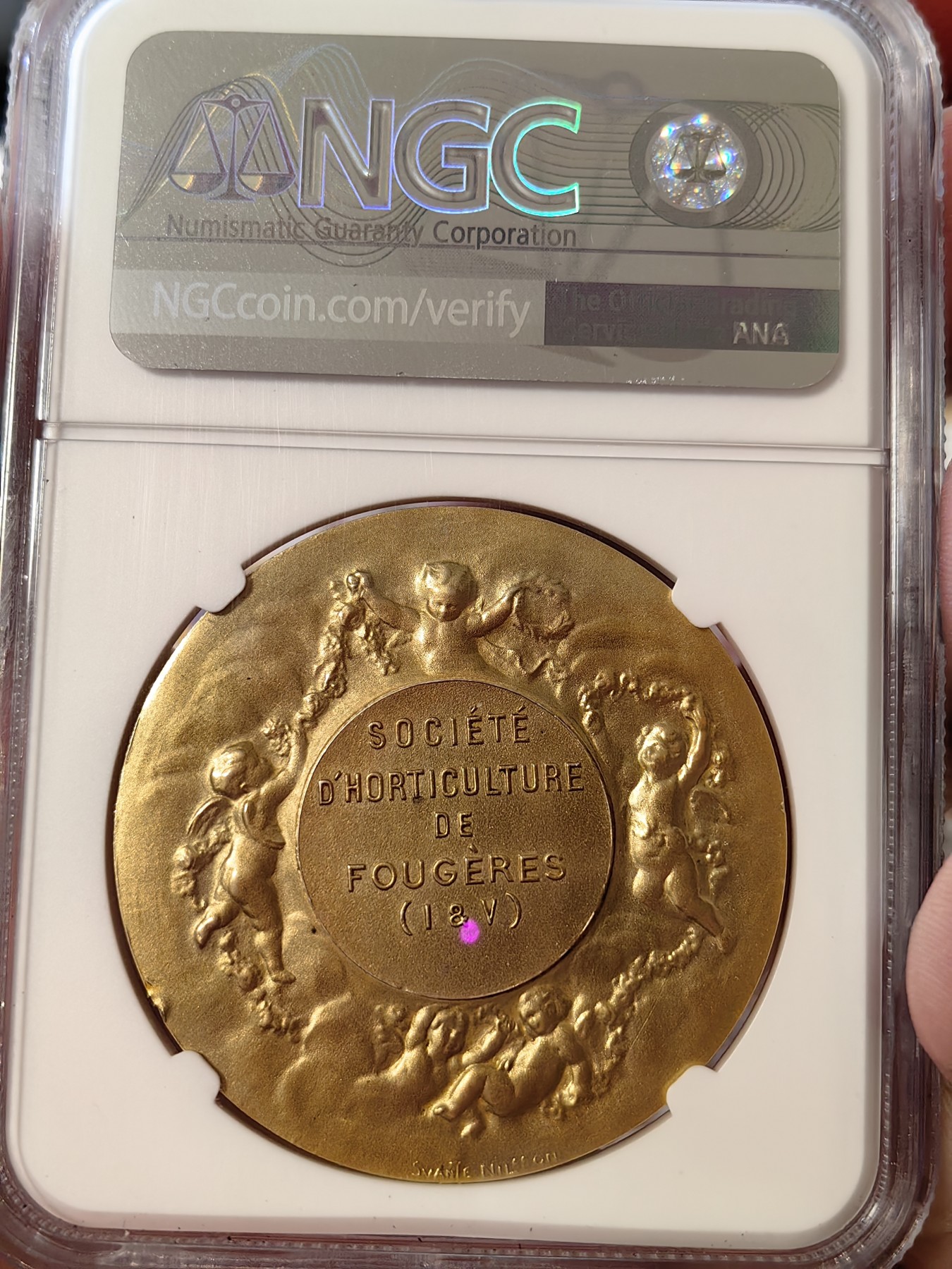 橡树集藏-006场 海纳百川 ngc-Ms64 1880年左右法国镀金银章 尼尔森园艺协会 大尺寸热门法章 正面是辛勤的园丁玫瑰花田 背面是五个小天使天女散花 可可爱爱 浮光掠影 金碧辉煌