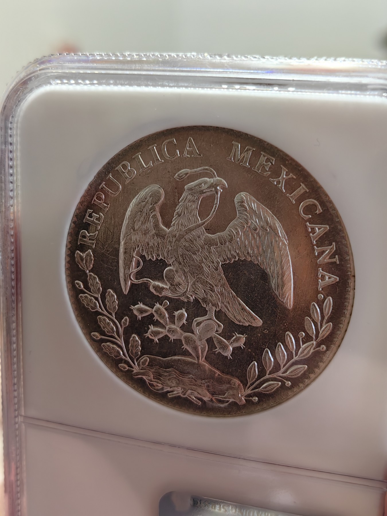 橡树集藏-006场 海纳百川 NGC-MS64PL  1896年墨西哥 8R鹰洋，罕见又养眼的类镜面凝霜效果 冠军分！！！实物绝美，顶级观感。