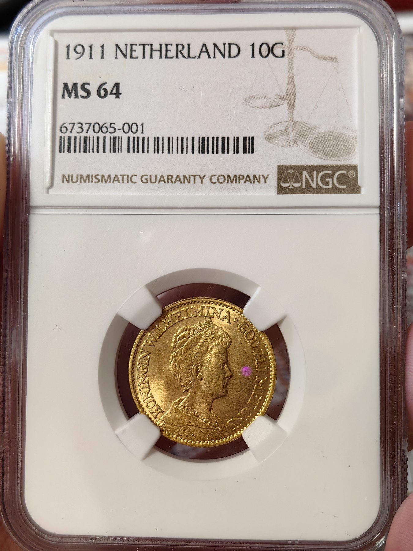 橡树集藏-006场 海纳百川 ngc-ms64 1911年荷兰10盾金币 少妇威廉明娜 状态不错