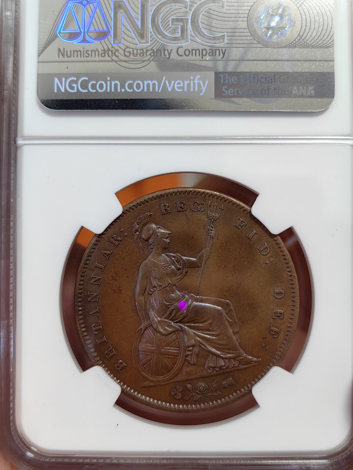橡树集藏-006场 海纳百川 NGC-MS63BN 英国1858年维多利亚1便士大铜币 完全氧化深色巧克力状态 适合新晋藏家