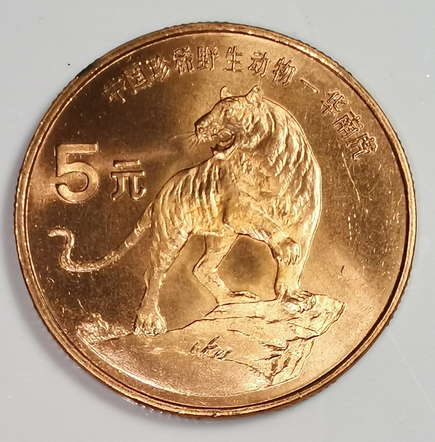 1996年中国珍惜野生动物华南虎纪念币一枚，品好，紫铜纪念币中的佼佼者！按图发货！