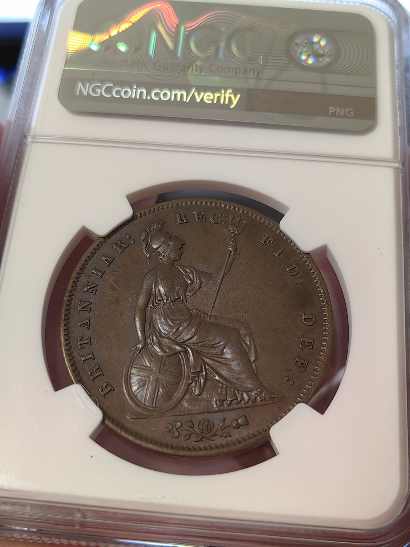 橡树集藏-006场 海纳百川 NGC-MS63BN 英国1858年维多利亚1便士大铜币 完全氧化深色巧克力状态 适合新晋藏家