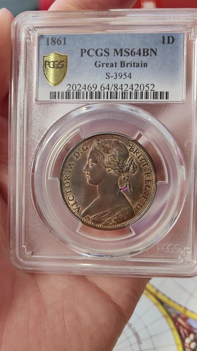 橡树集藏-006场 海纳百川 pcgs Ms64bn，1861年英国小维便士，鎏金彩包浆。顶级品。 实物观感极佳，小维的中年形象，雍容华贵。 这枚奇特的轮廓金彩，使她在视觉上脱颖而出。2012年n64，ha拍卖价2400元。