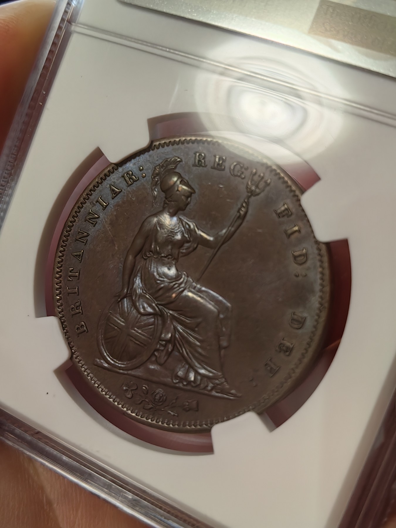橡树集藏-006场 海纳百川 NGC-MS63BN 英国1858年维多利亚1便士大铜币 完全氧化深色巧克力状态 适合新晋藏家