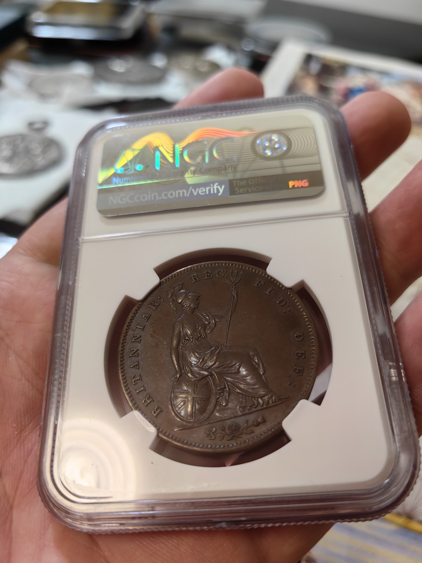 橡树集藏-006场 海纳百川 NGC-MS63BN 英国1858年维多利亚1便士大铜币 完全氧化深色巧克力状态 适合新晋藏家