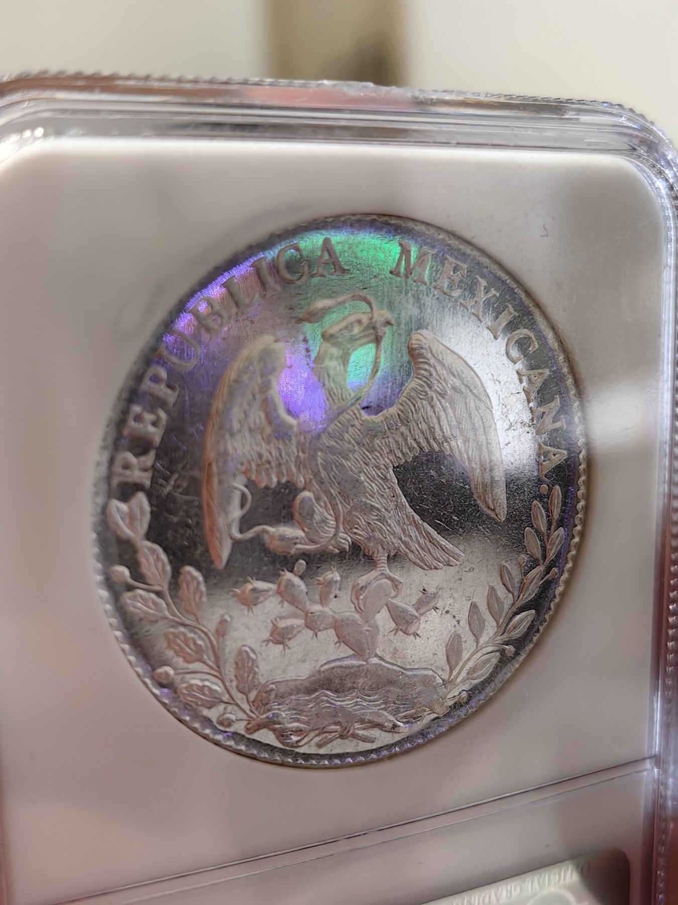 橡树集藏-006场 海纳百川 NGC-MS64PL  1896年墨西哥 8R鹰洋，罕见又养眼的类镜面凝霜效果 冠军分！！！实物绝美，顶级观感。