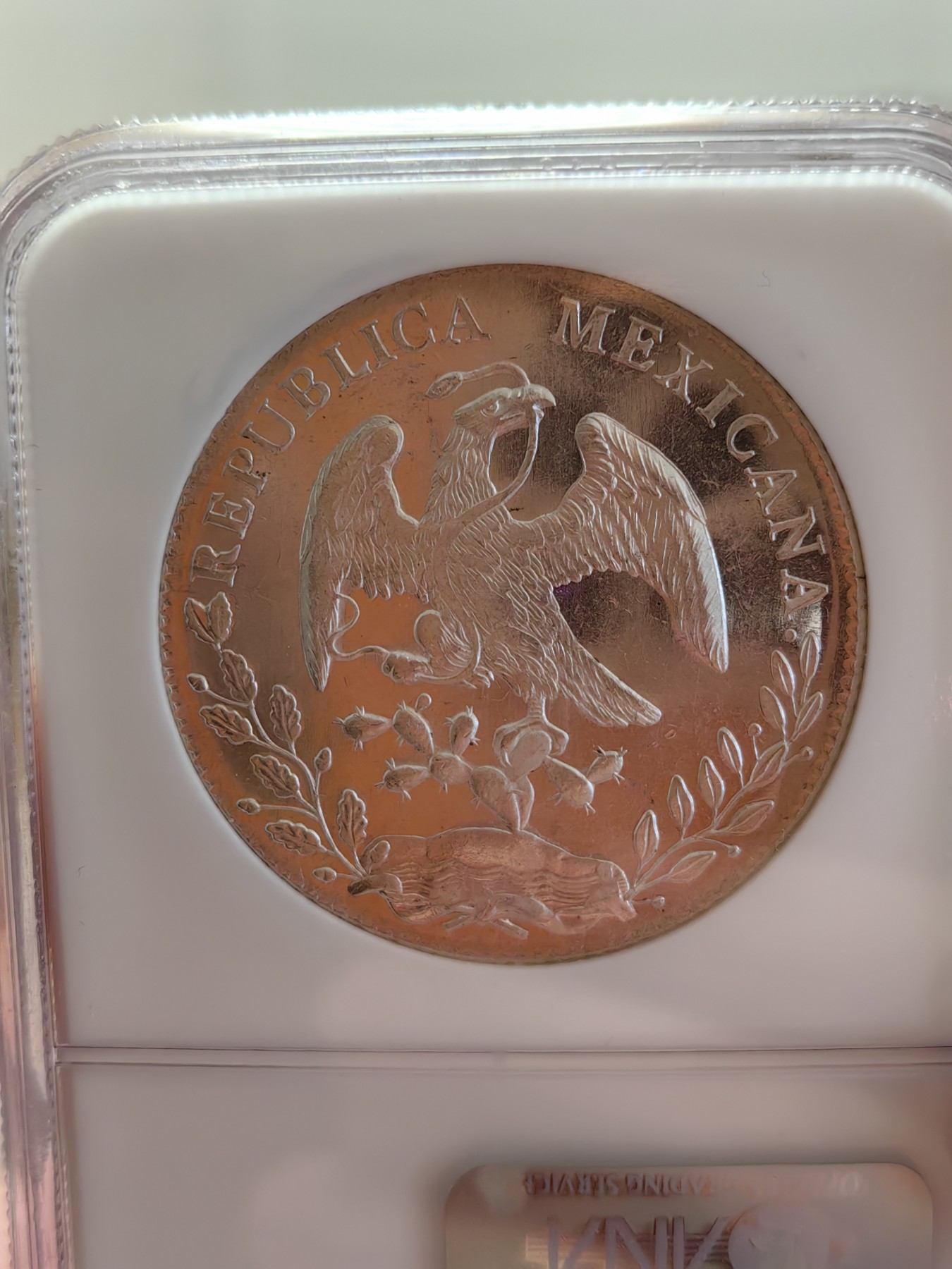 橡树集藏-006场 海纳百川 NGC-MS64PL  1896年墨西哥 8R鹰洋，罕见又养眼的类镜面凝霜效果 冠军分！！！实物绝美，顶级观感。