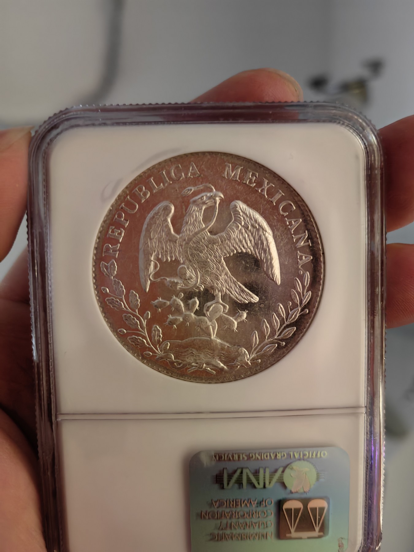 橡树集藏-006场 海纳百川 NGC-MS64PL  1896年墨西哥 8R鹰洋，罕见又养眼的类镜面凝霜效果 冠军分！！！实物绝美，顶级观感。